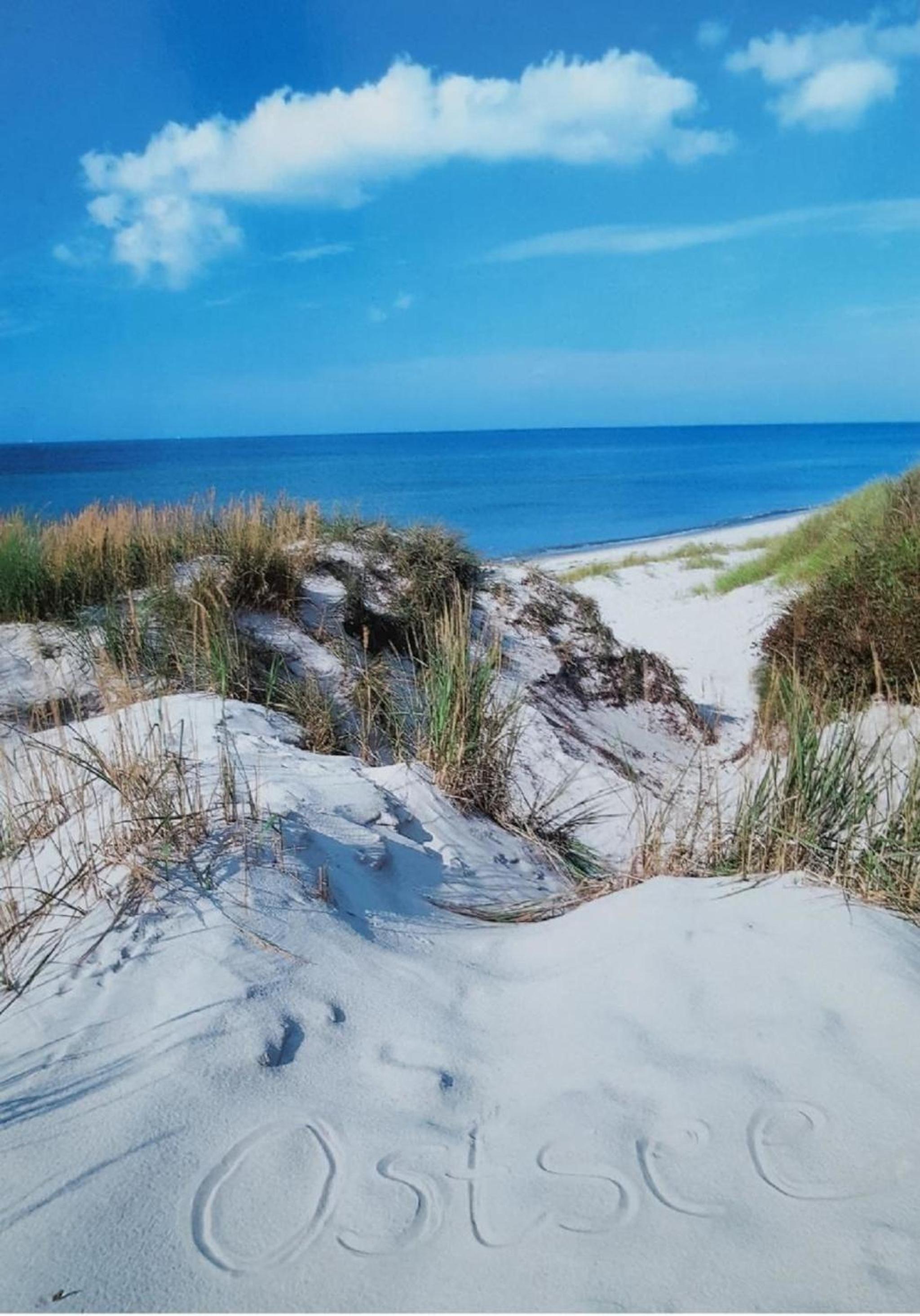 Ferienwohnung Lilly in Zingst