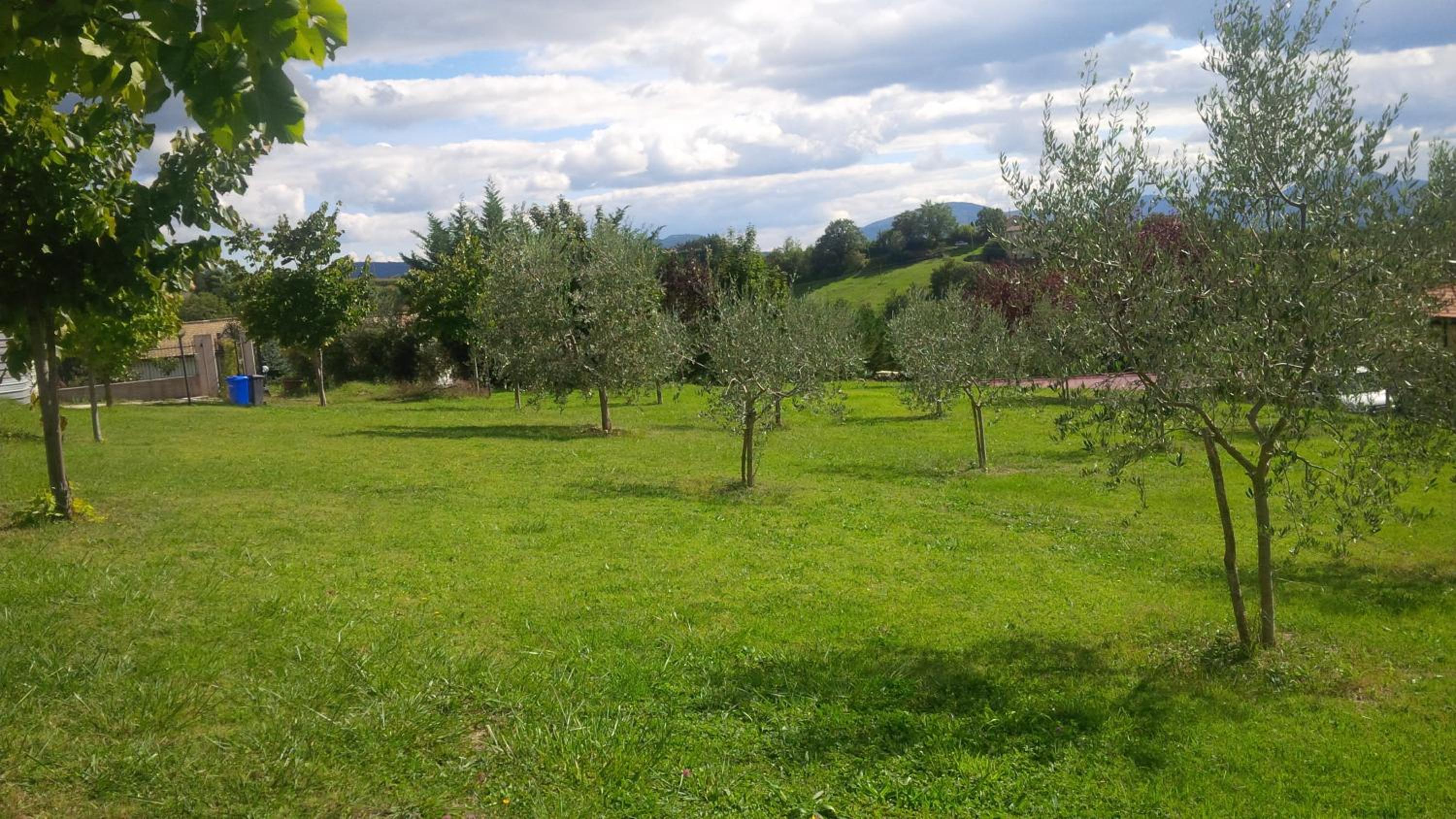 Photo 44