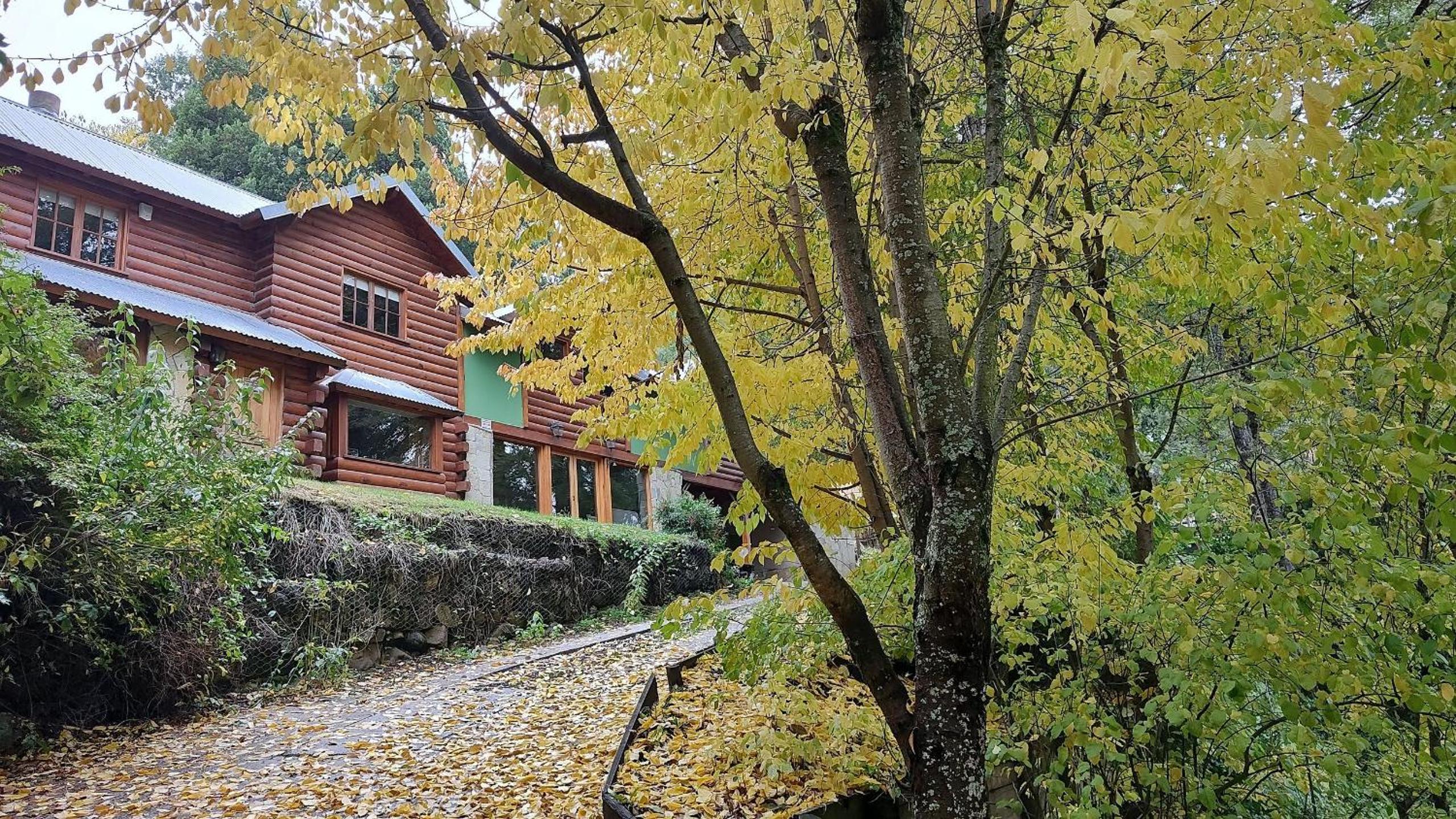 Cabaña rodeada de bosque nativo para 12 c parrilla