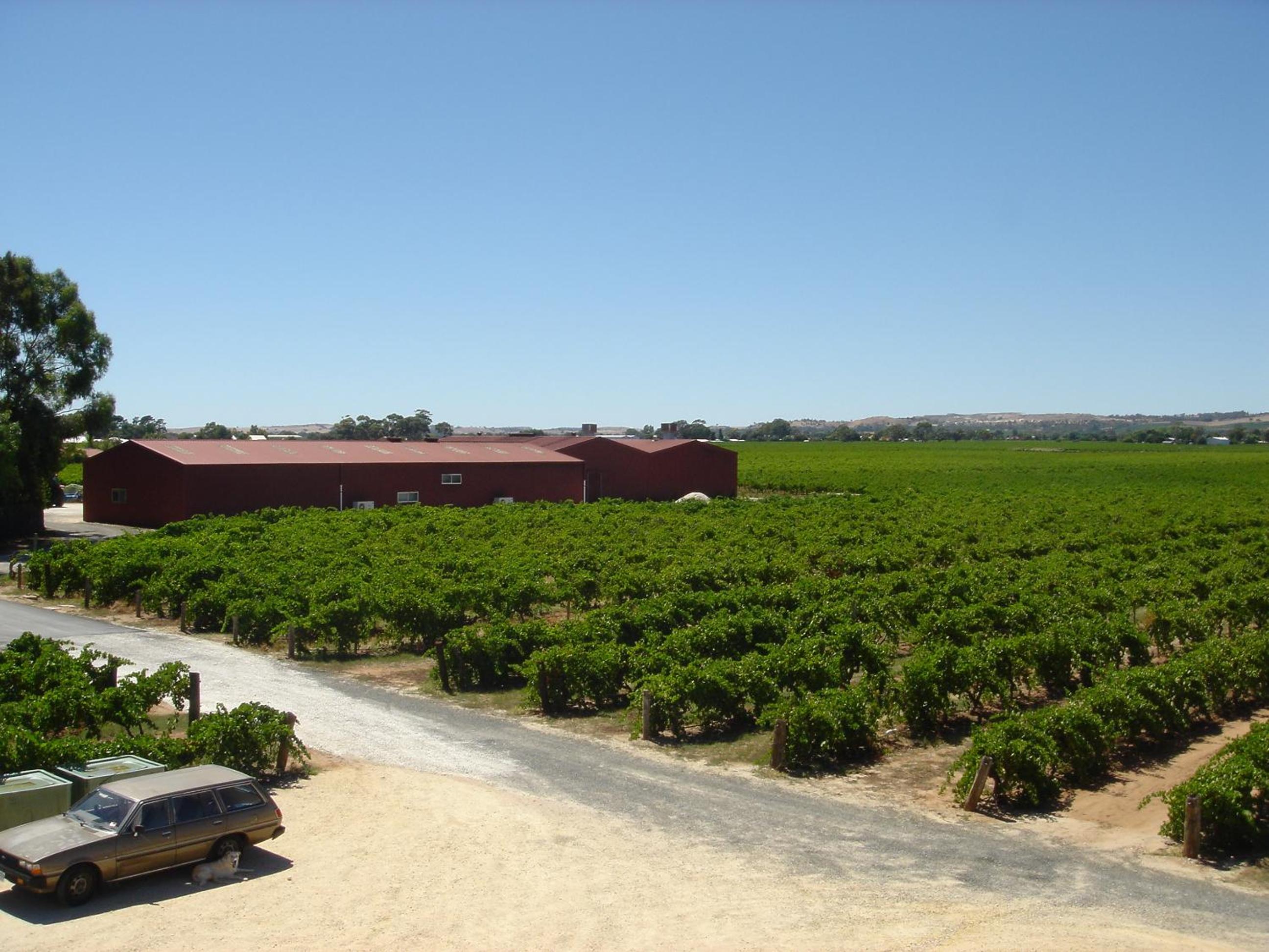 Kaesler Cottages