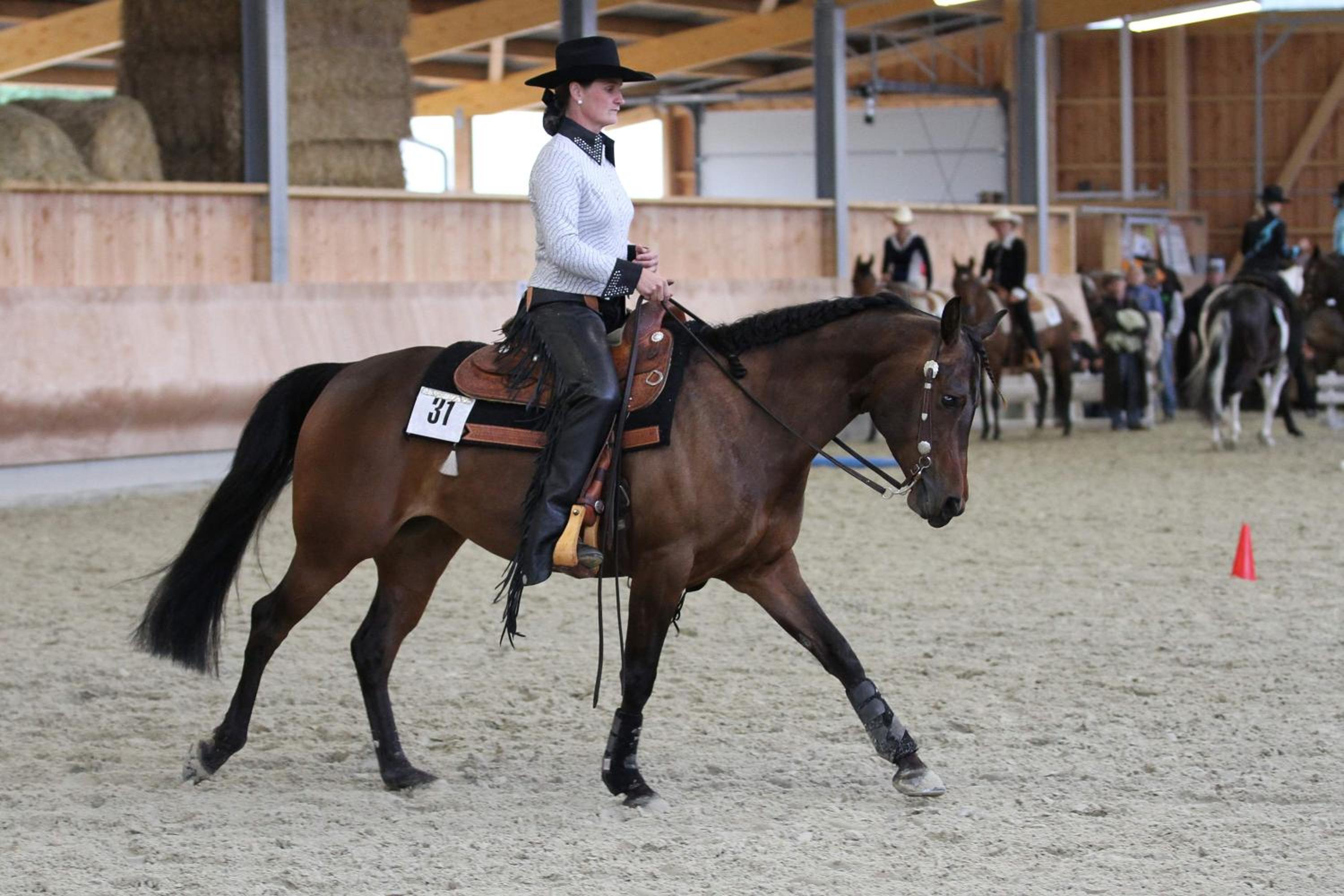 Sonnenhof, Ferienwohnung auf Reitanlage