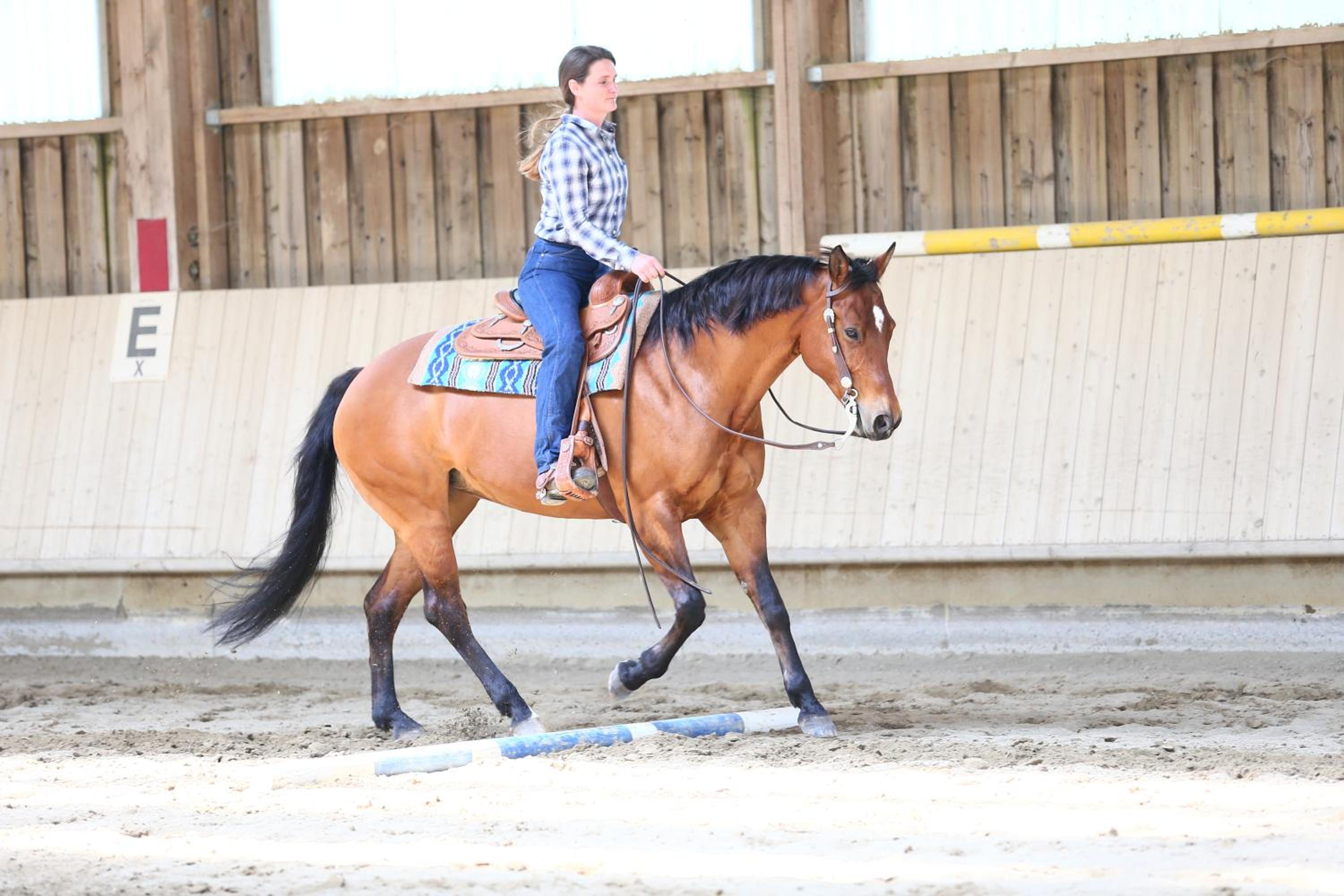Sonnenhof, Ferienwohnung auf Reitanlage