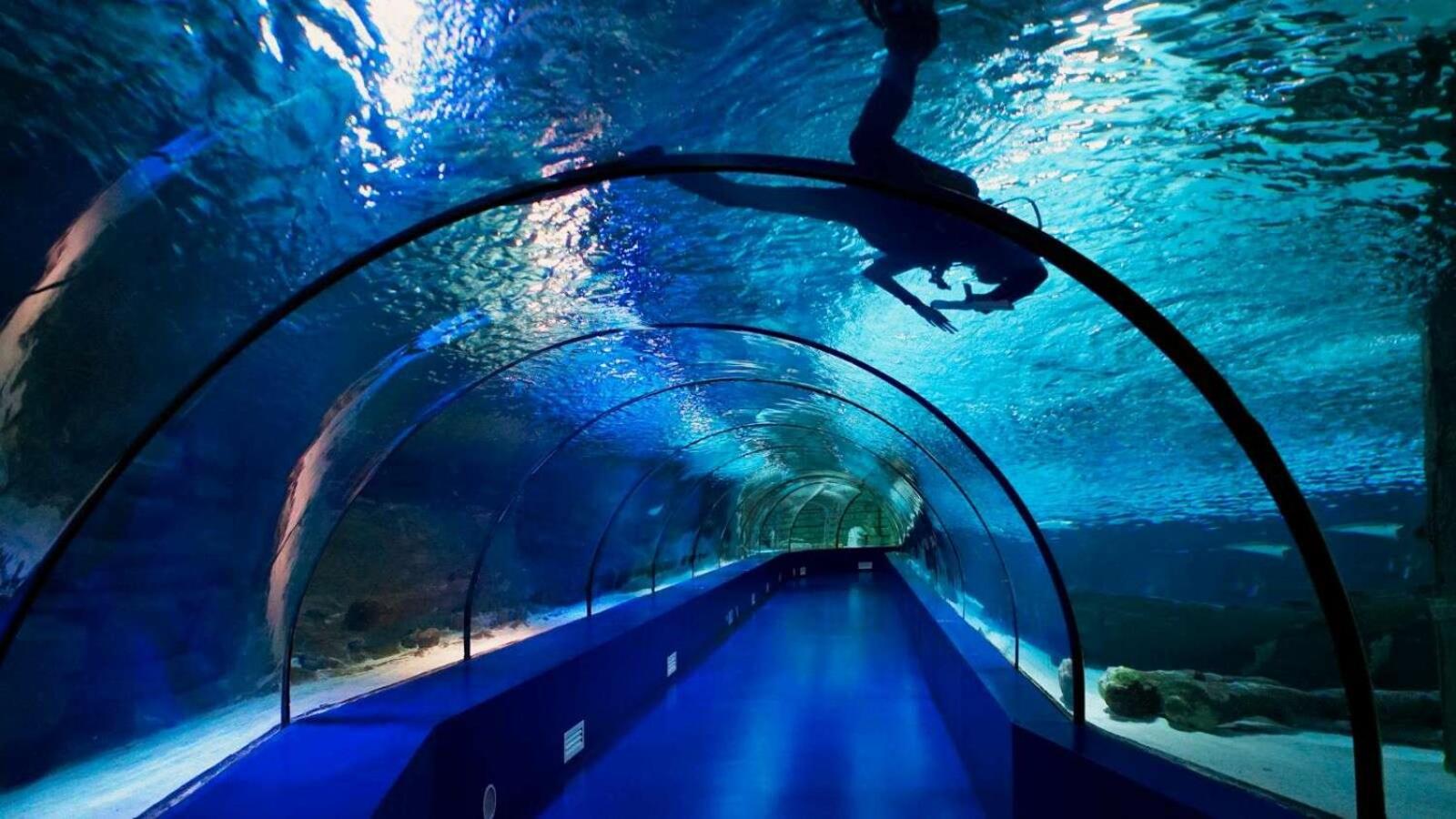 Far Life Hotel - Image 215