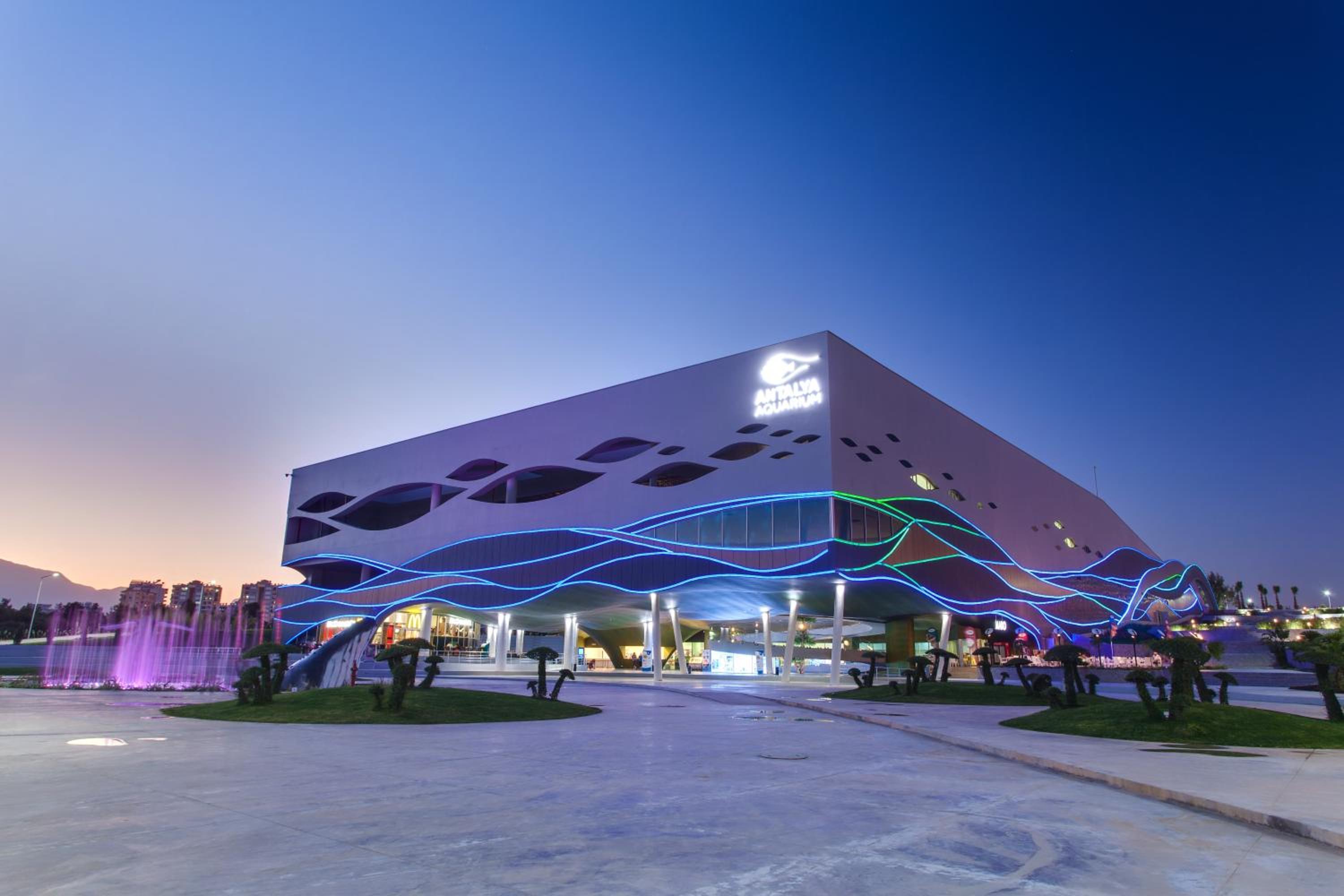 Far Life Hotel - Image 213