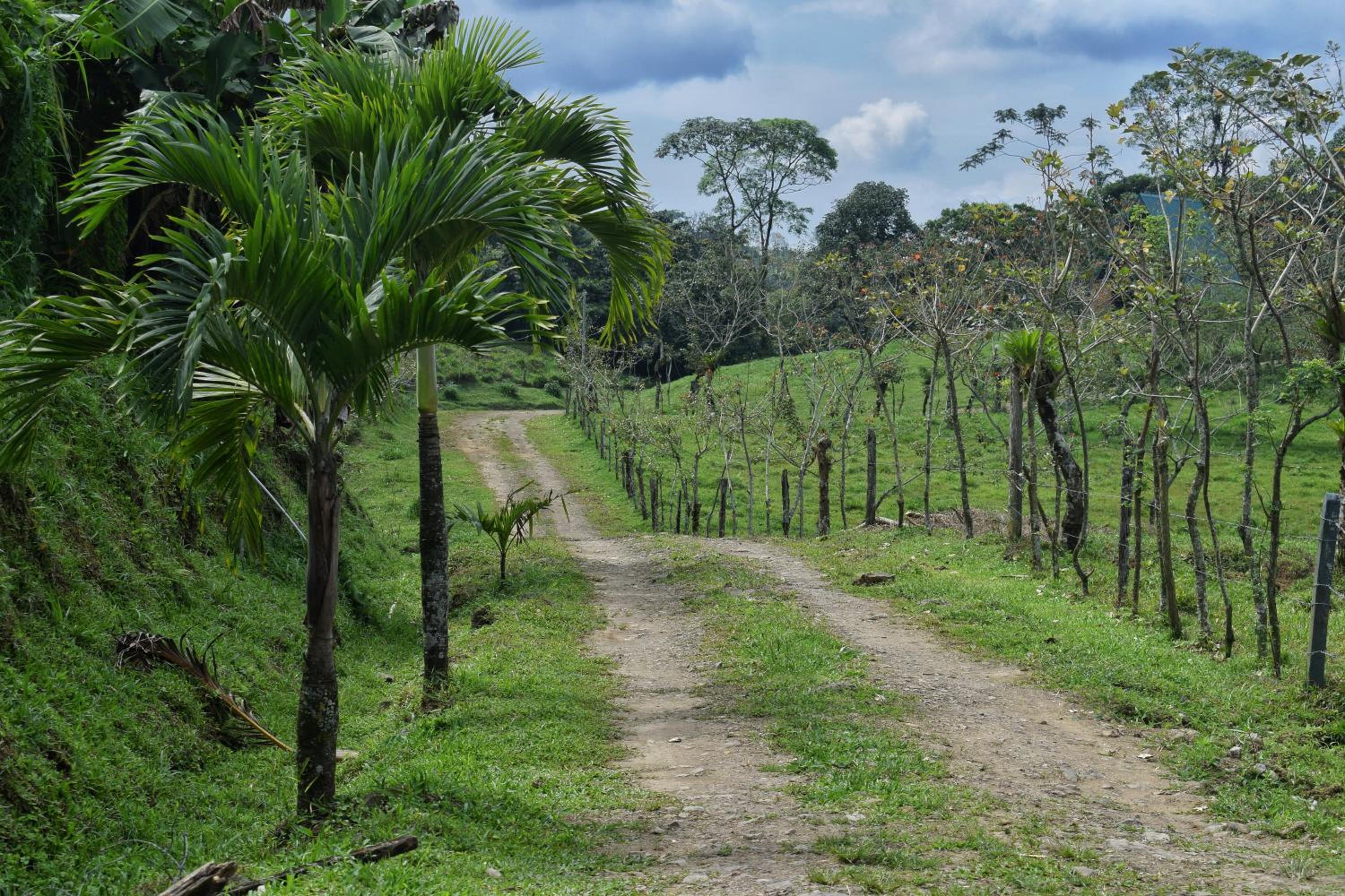 Quinta Túru