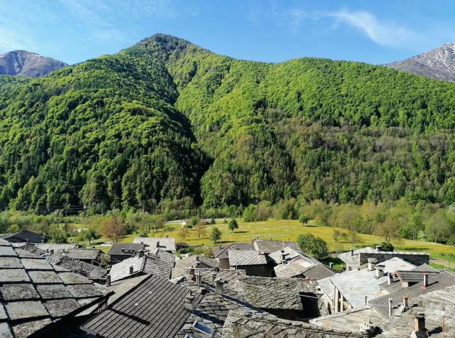 Foresteria Curt d'Amun - Calorosa casa in montagna a Rore view 5