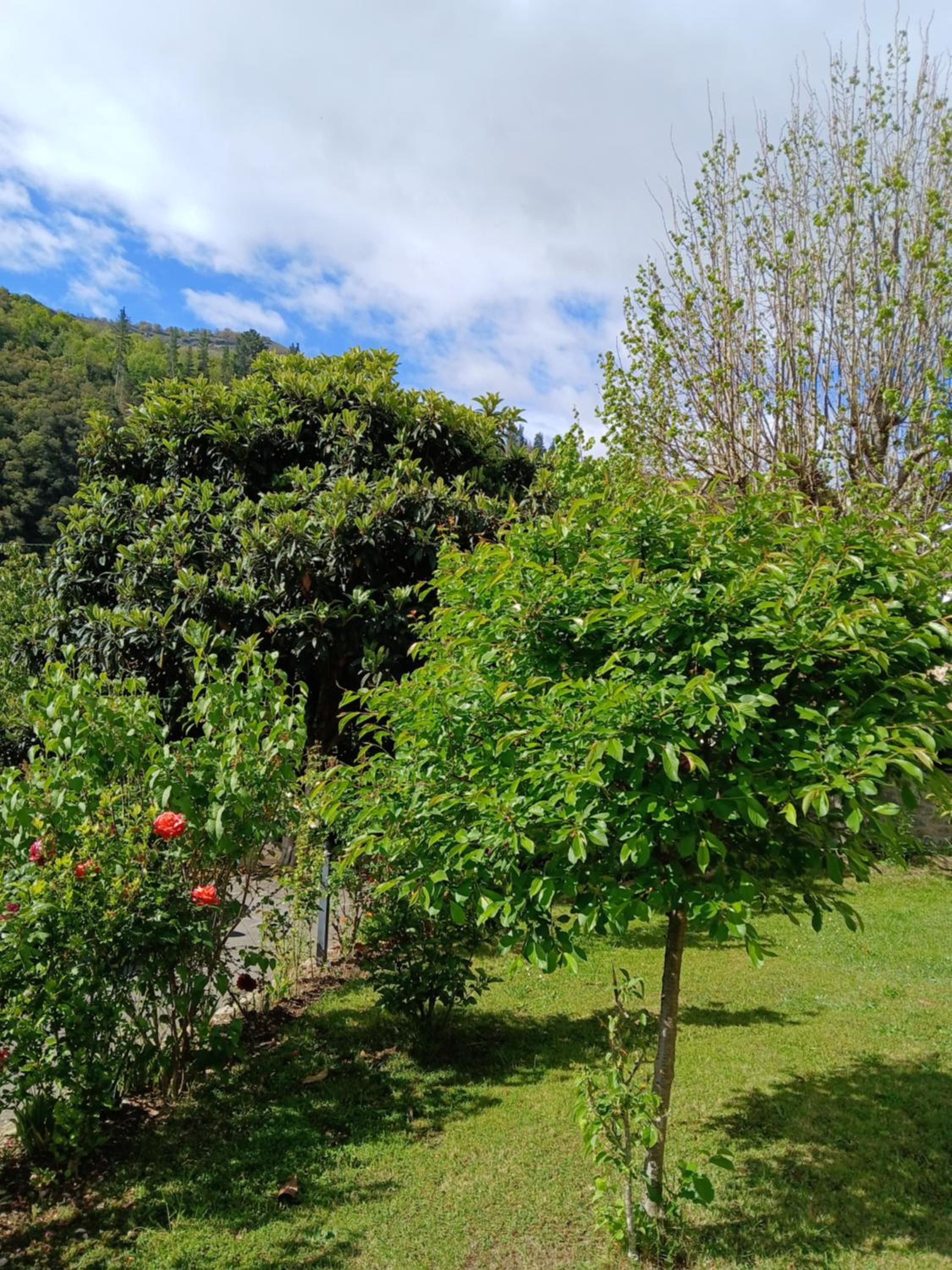 Picos de Europa Suites and Rooms