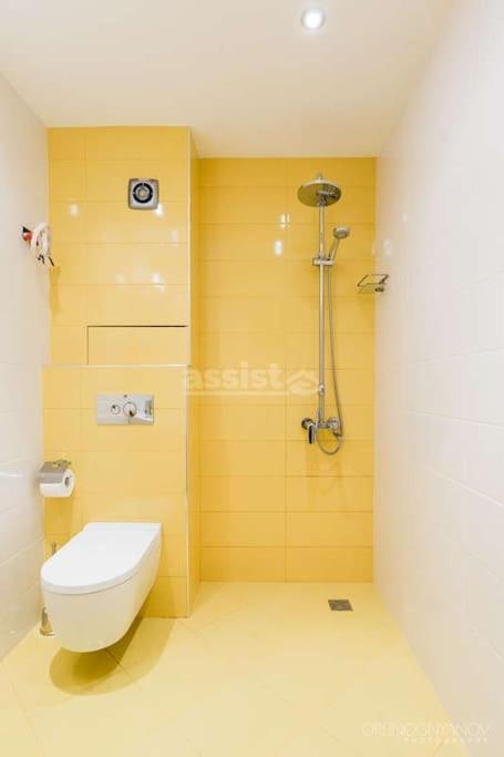 Apartment in Boyana