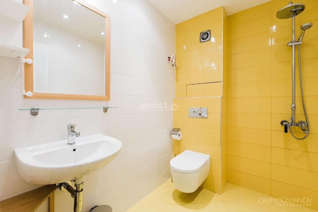 Apartment in Boyana