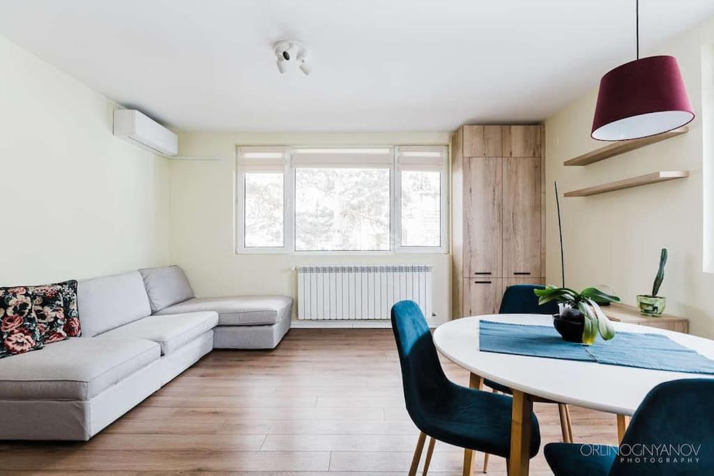 Apartment in Boyana