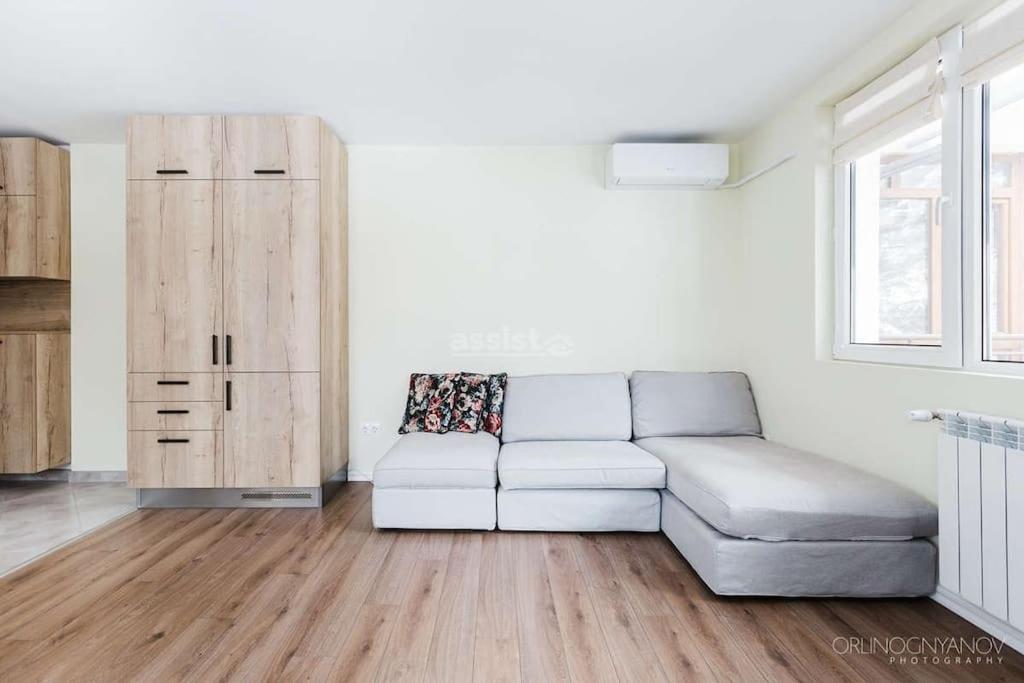 Apartment in Boyana
