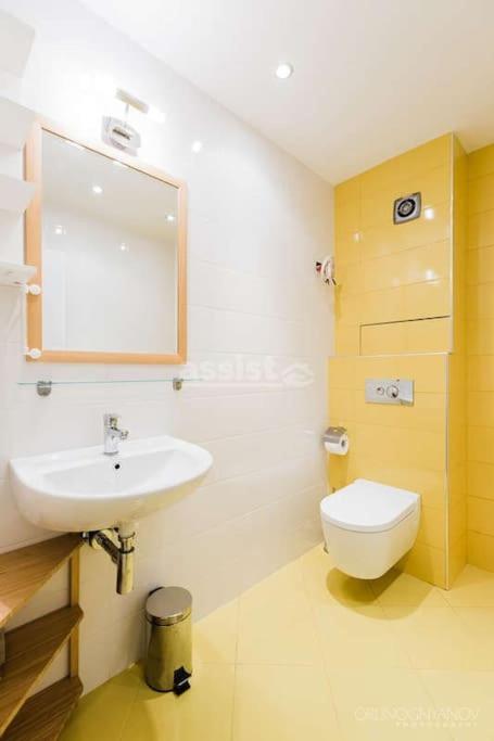 Apartment in Boyana