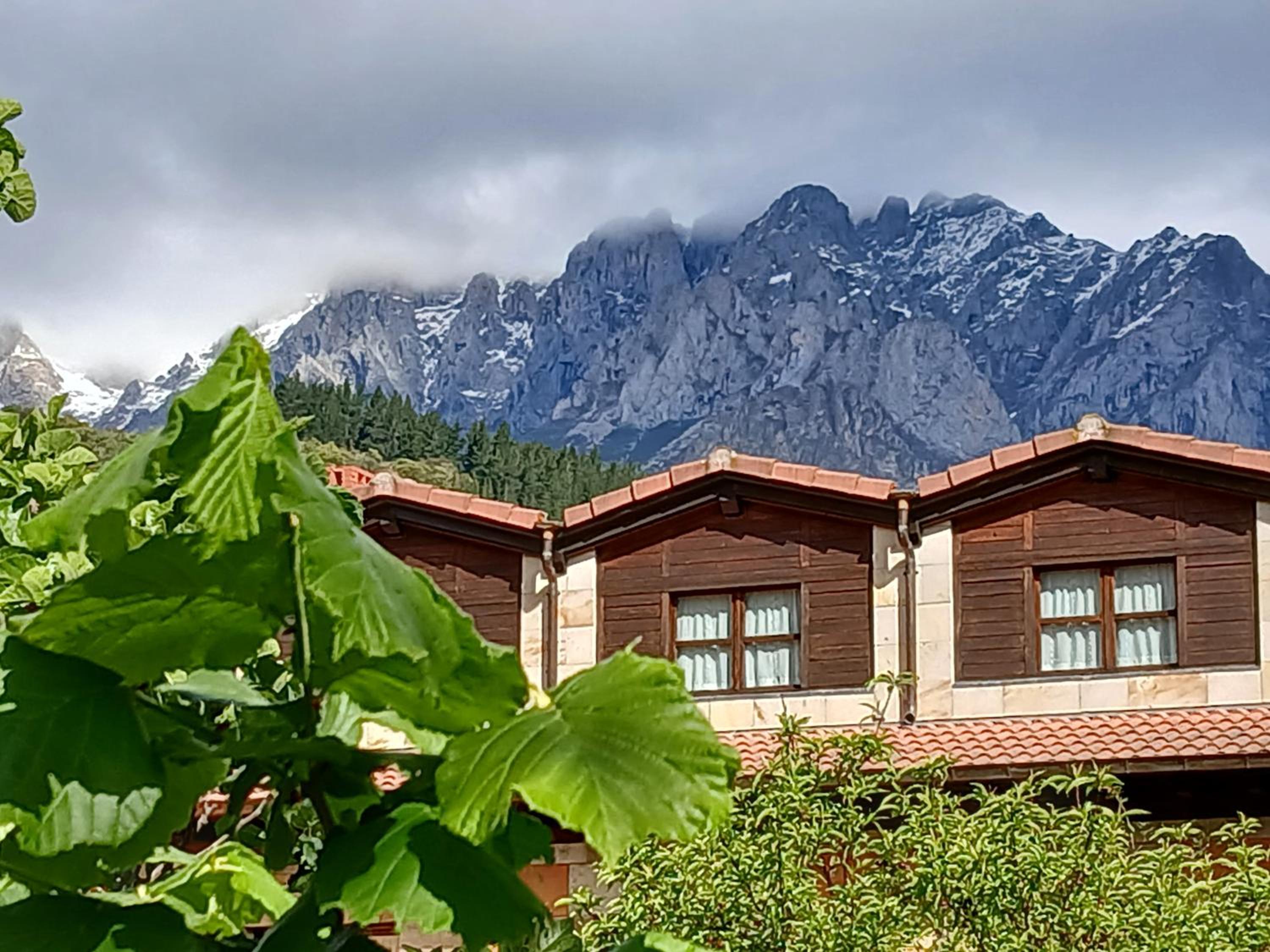 Picos de Europa Suites and Rooms