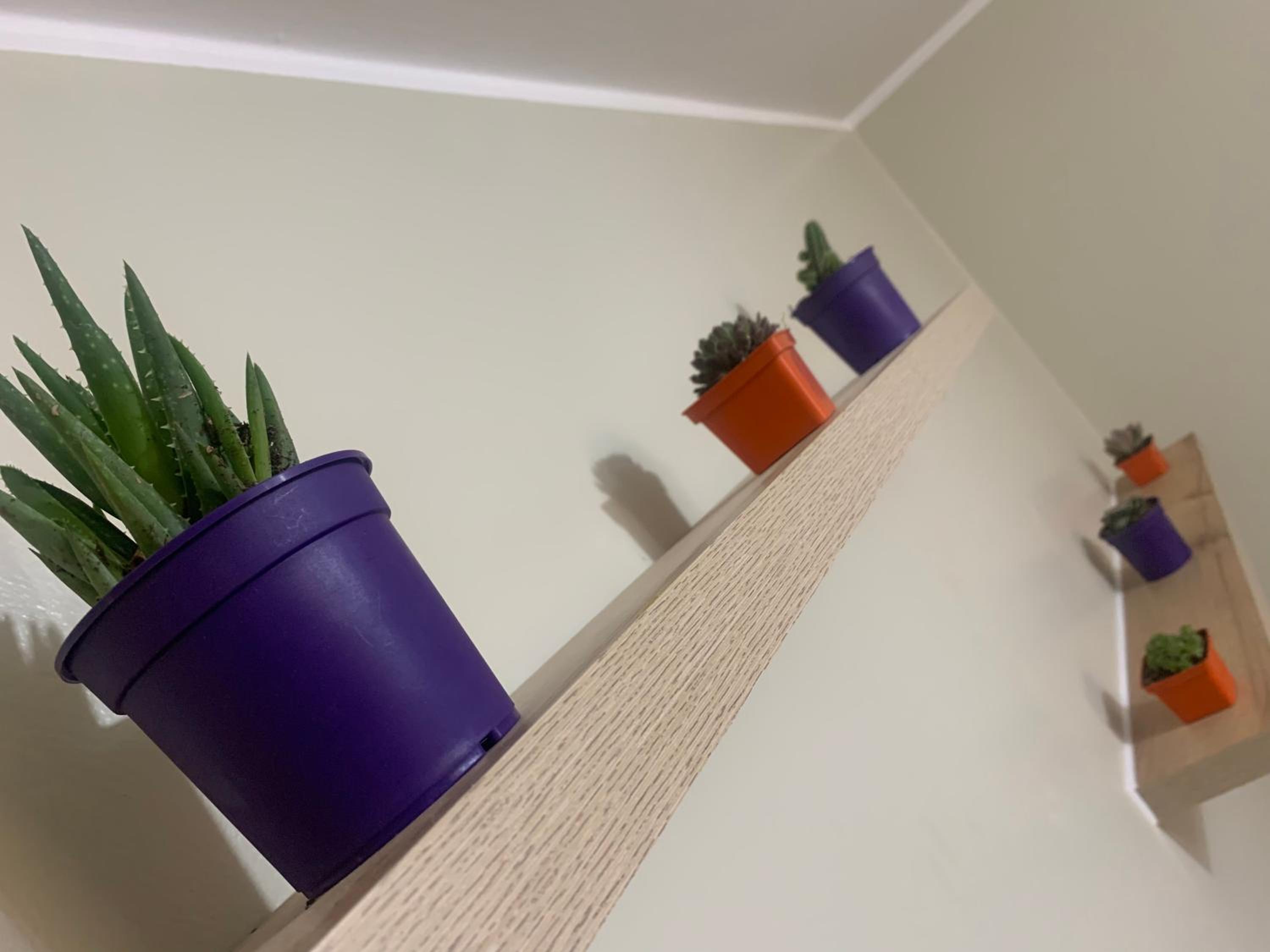 Apartamento LA ALBORADA para 7 con cochera view 2