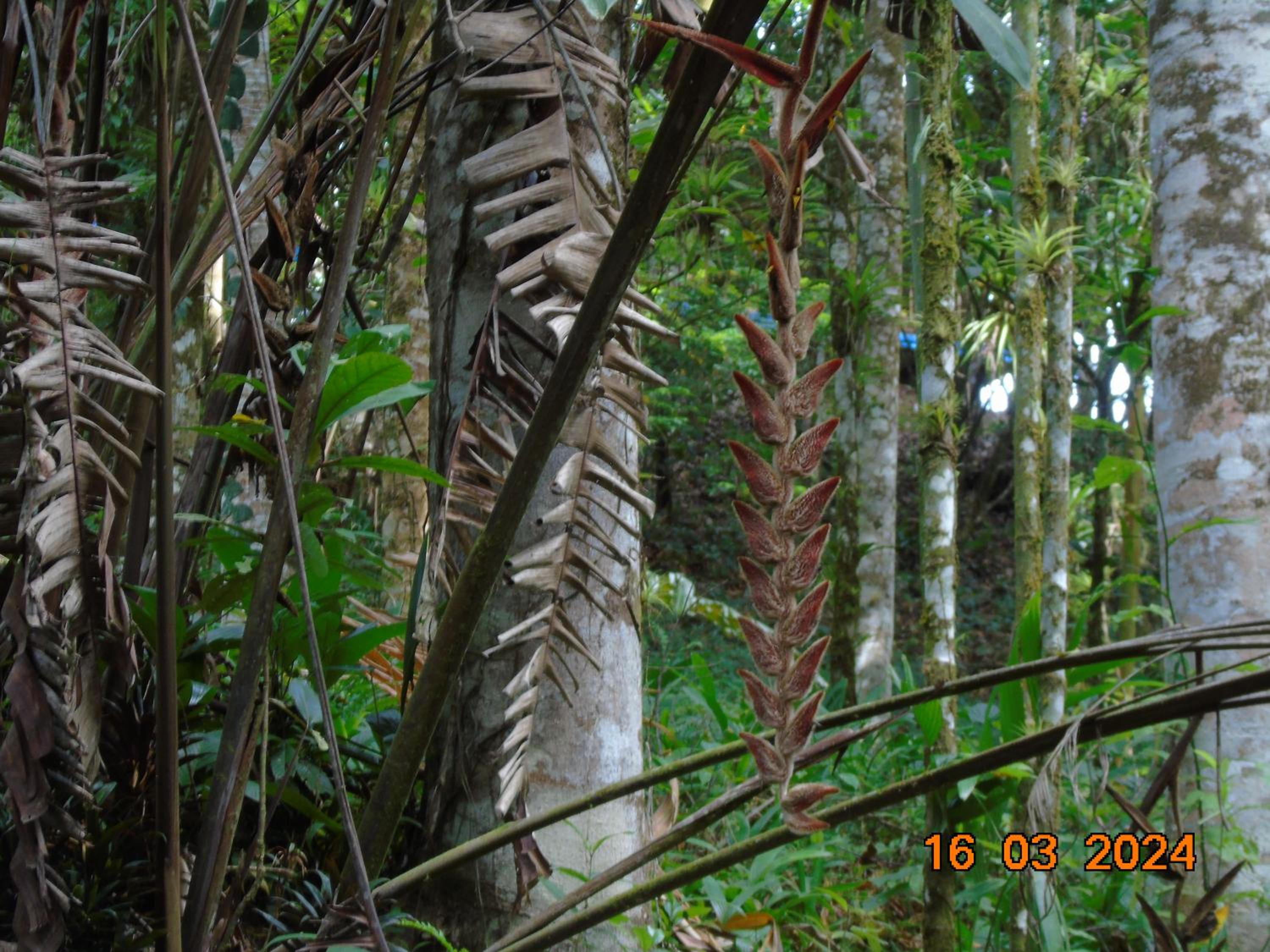 Complejo Turistico Fuga Ecolodge
