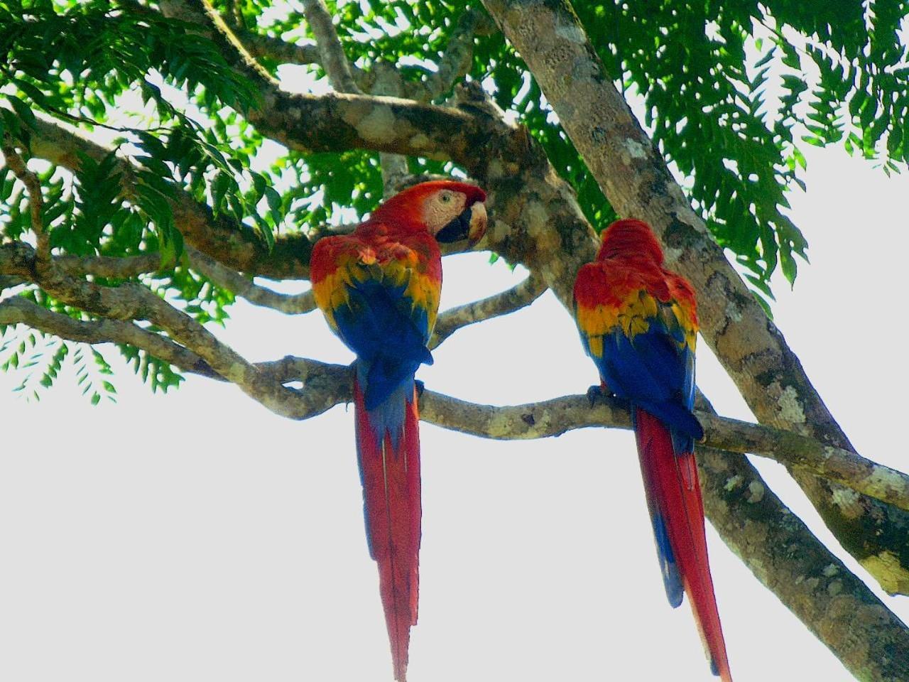 Complejo Turistico Fuga Ecolodge
