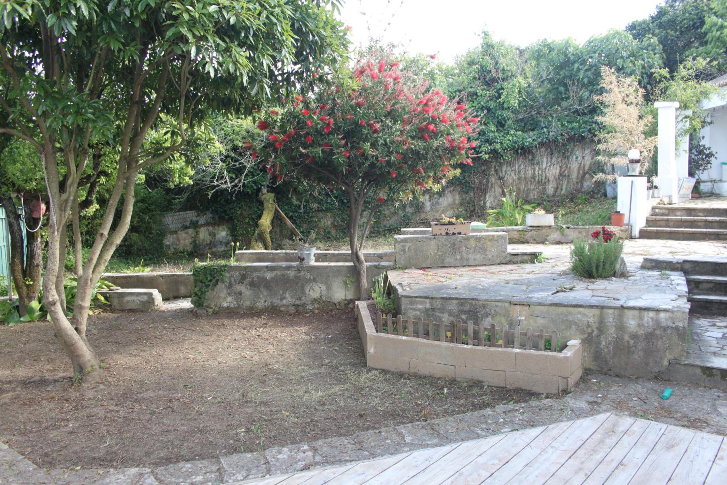Photo 30