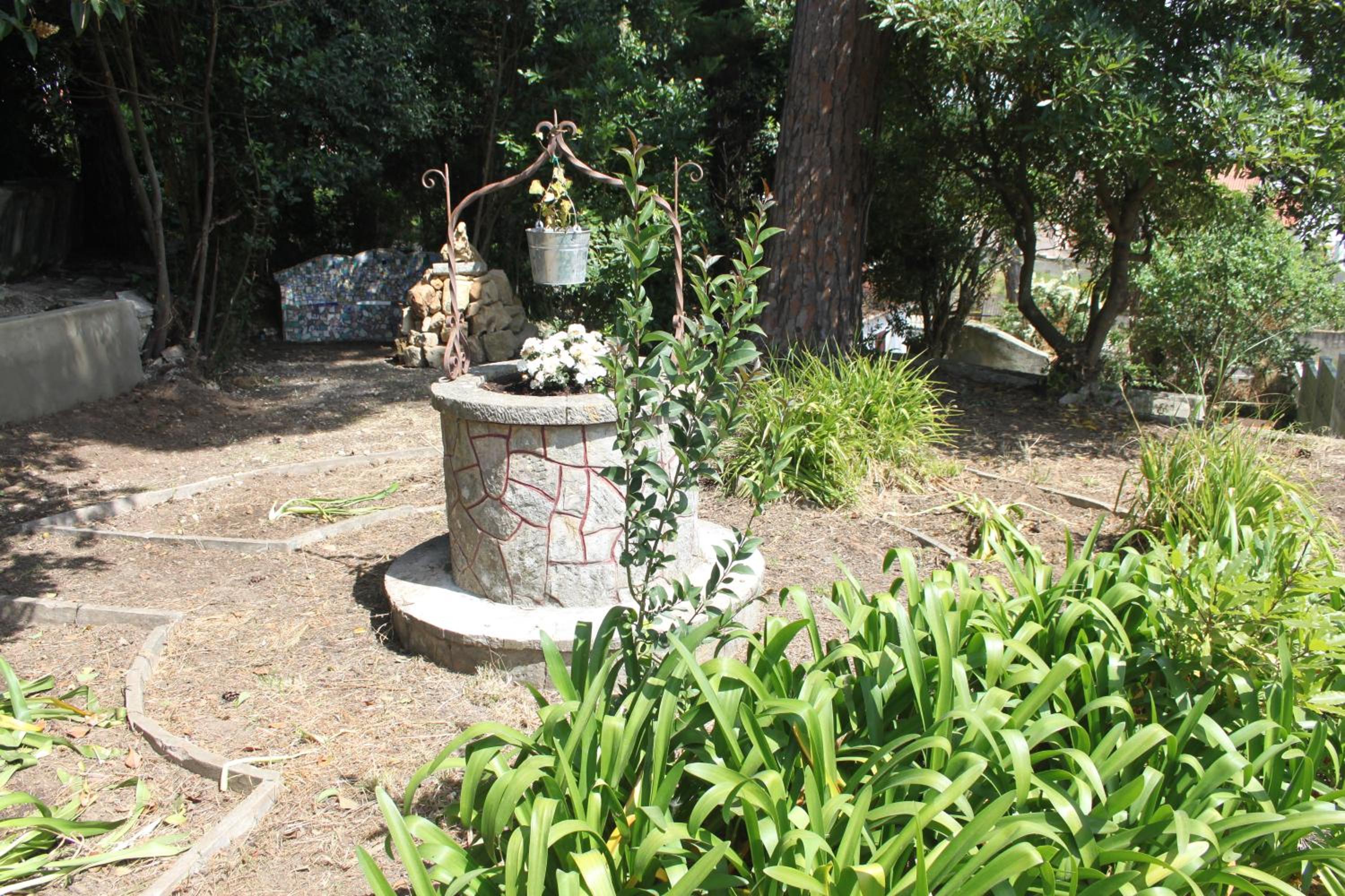 Photo 35