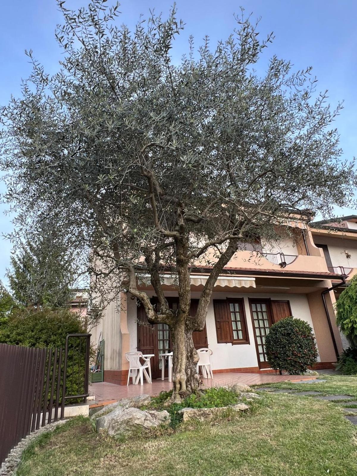 Villa Luisa view 5