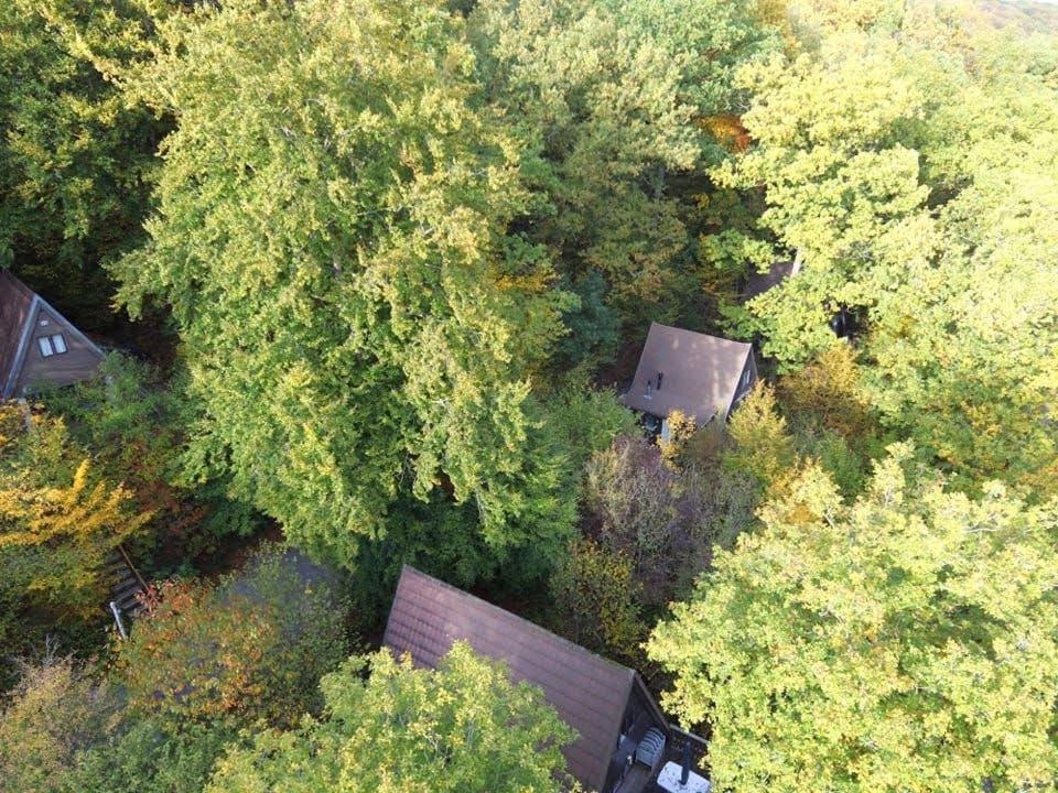 Gurdy's Holiday Home