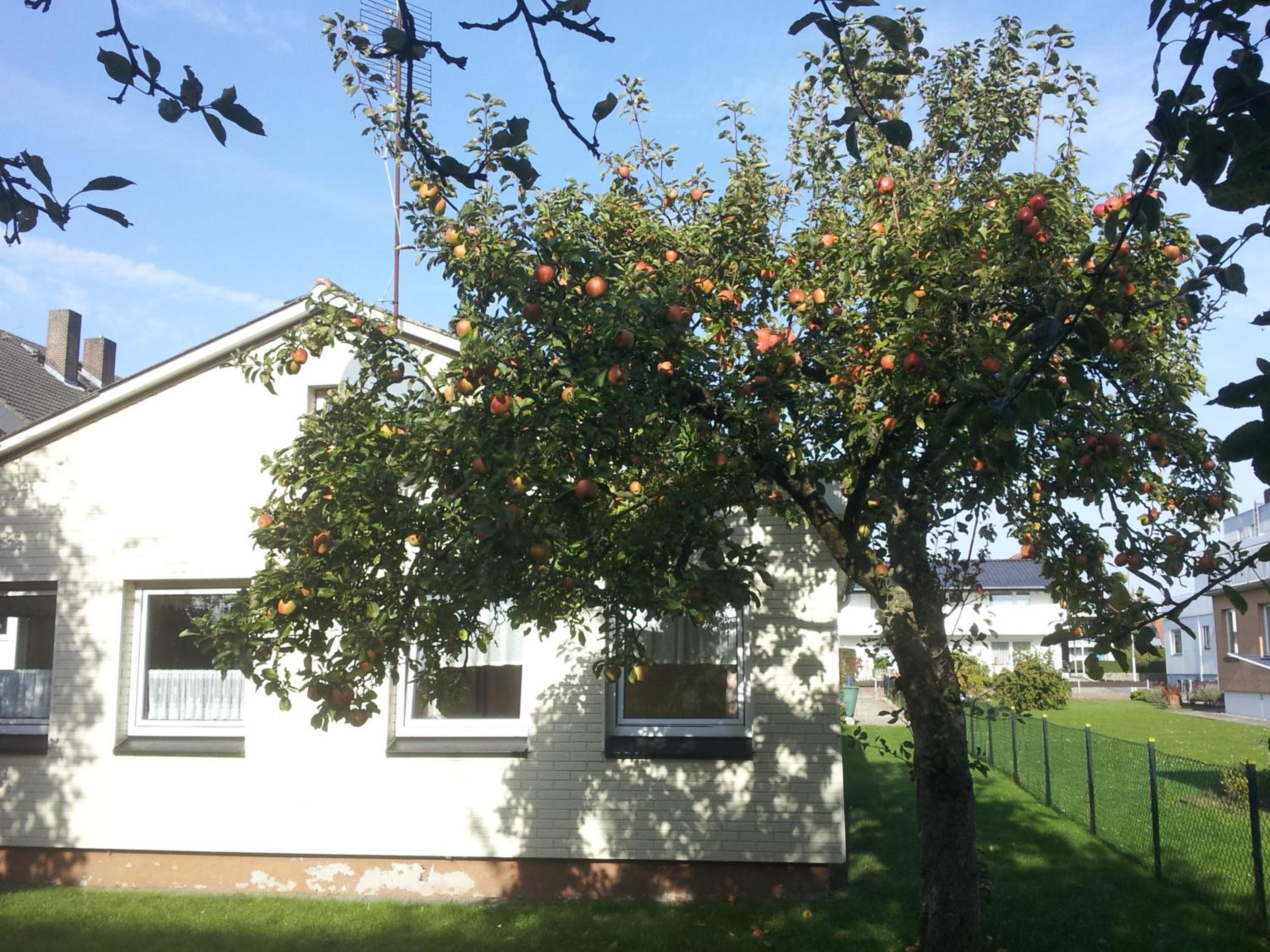 Haus Haeger