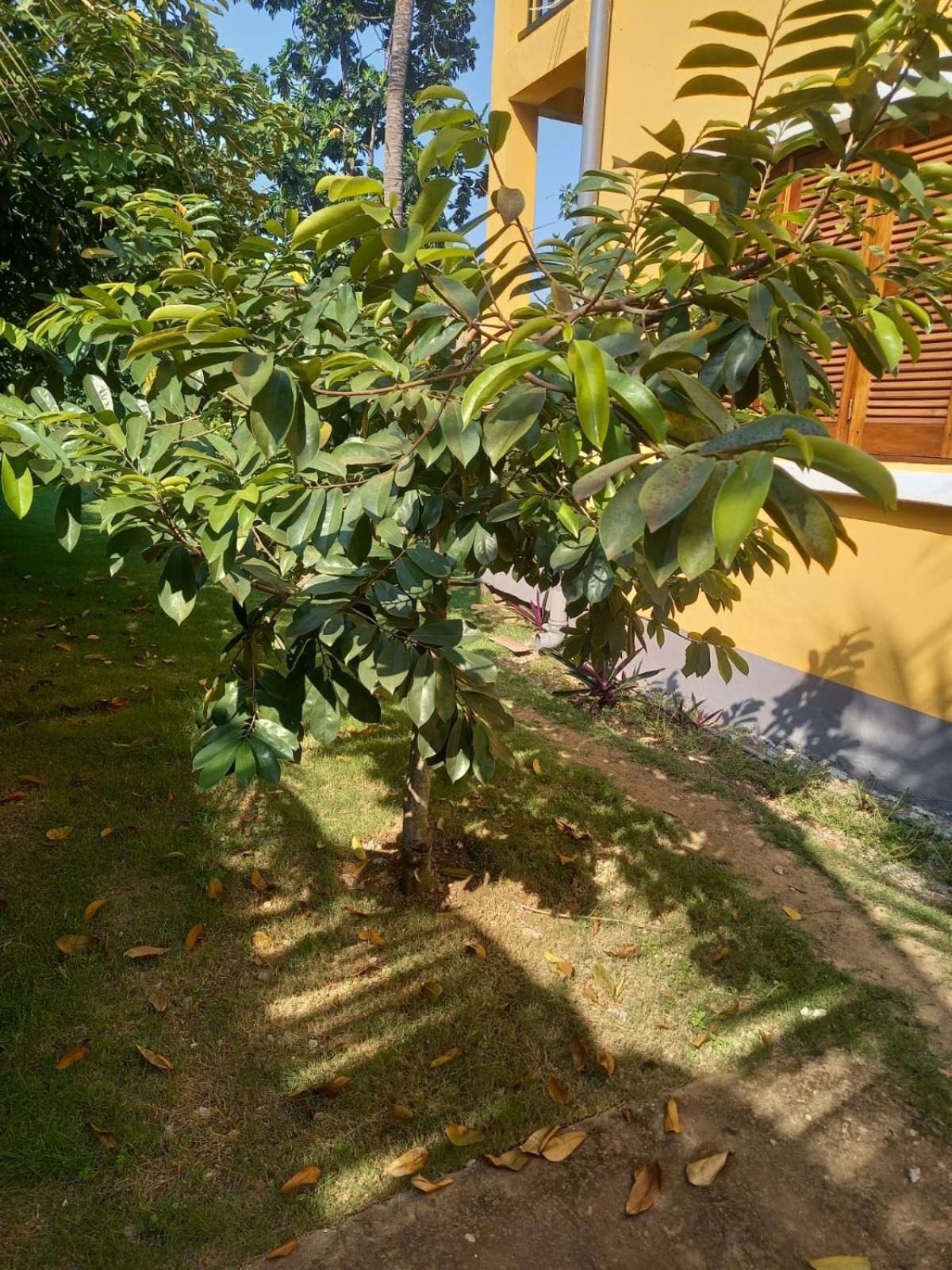 Photo 15