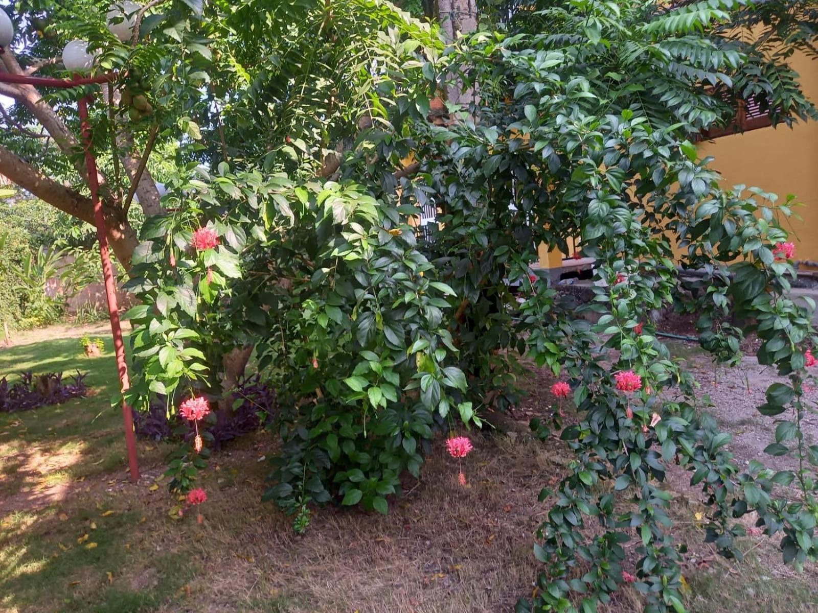 Photo 17