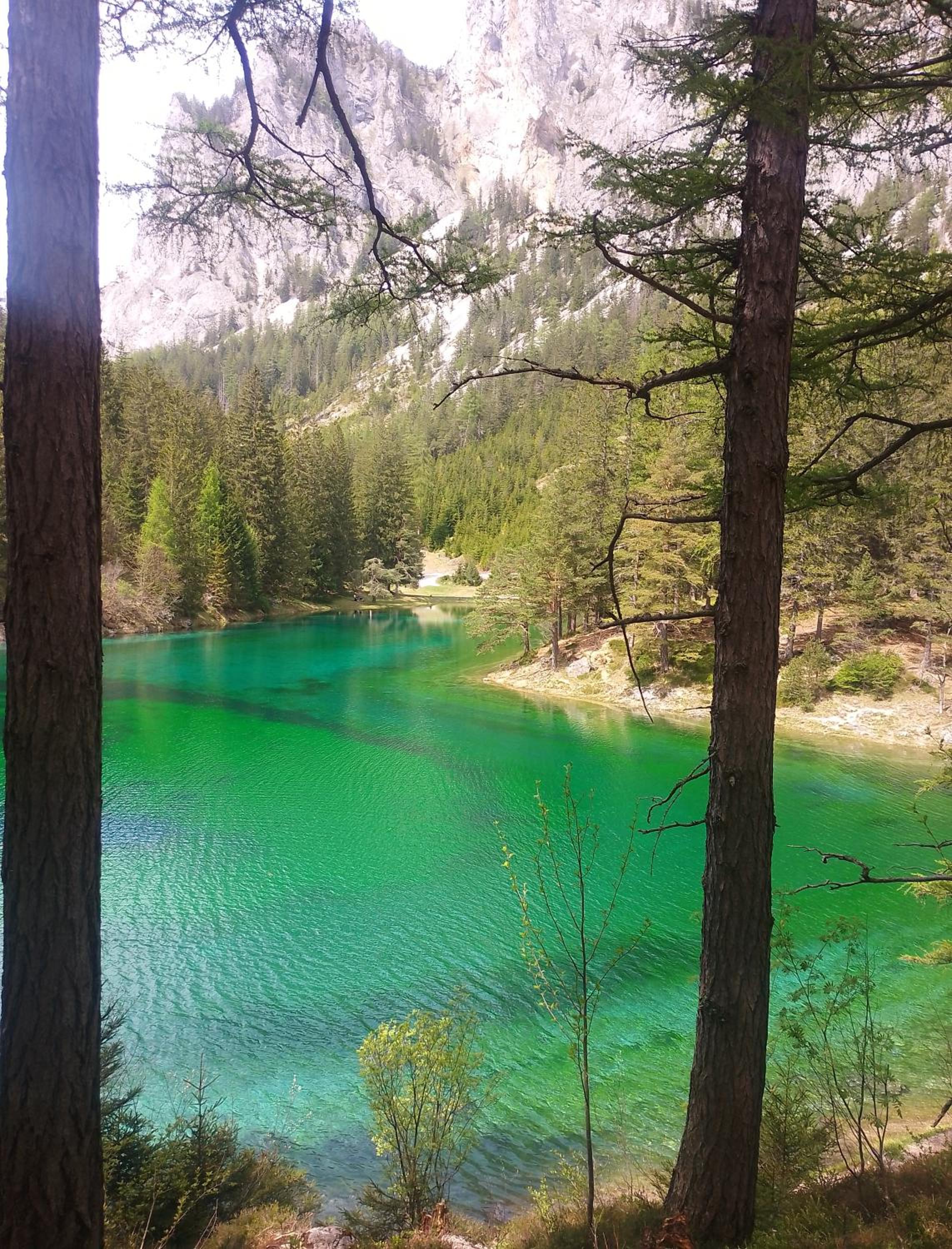 Haus Bergblick am Grünen See