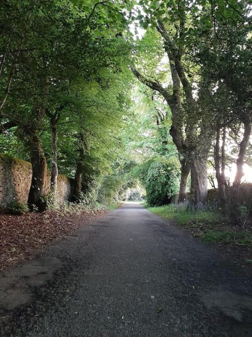 Beautiful countryside cottage, sleeps 6, dogs welcome