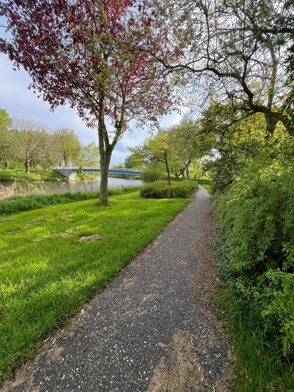 Het Eiland