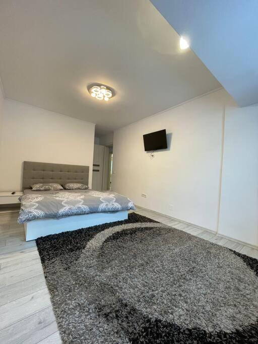 Family Apartment Azuga view 2