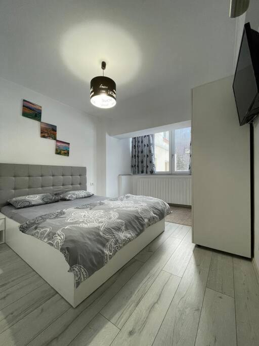 Family Apartment Azuga view 5