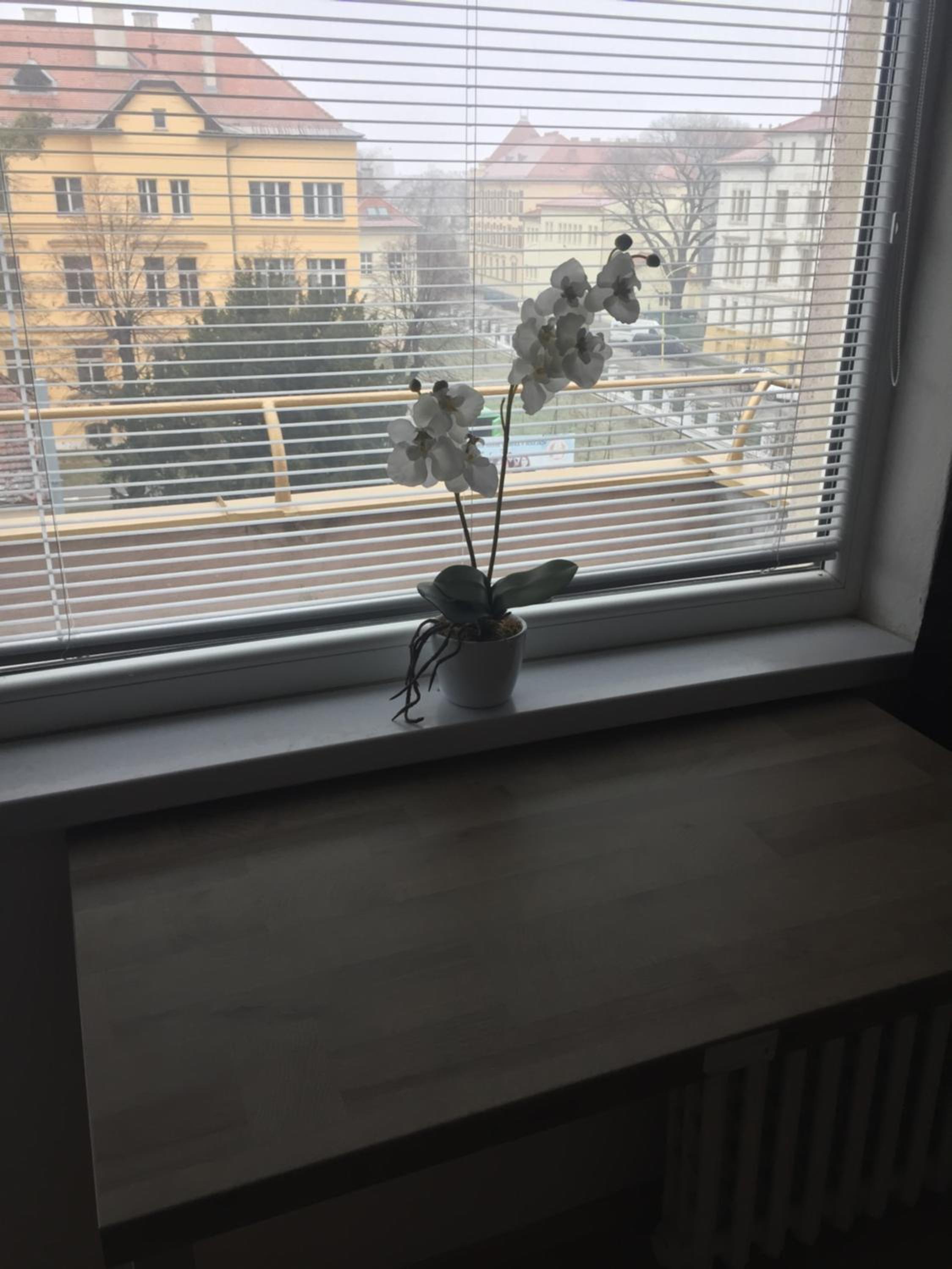 OLD TOWN and SIGHTSEEING STUDIO view 5