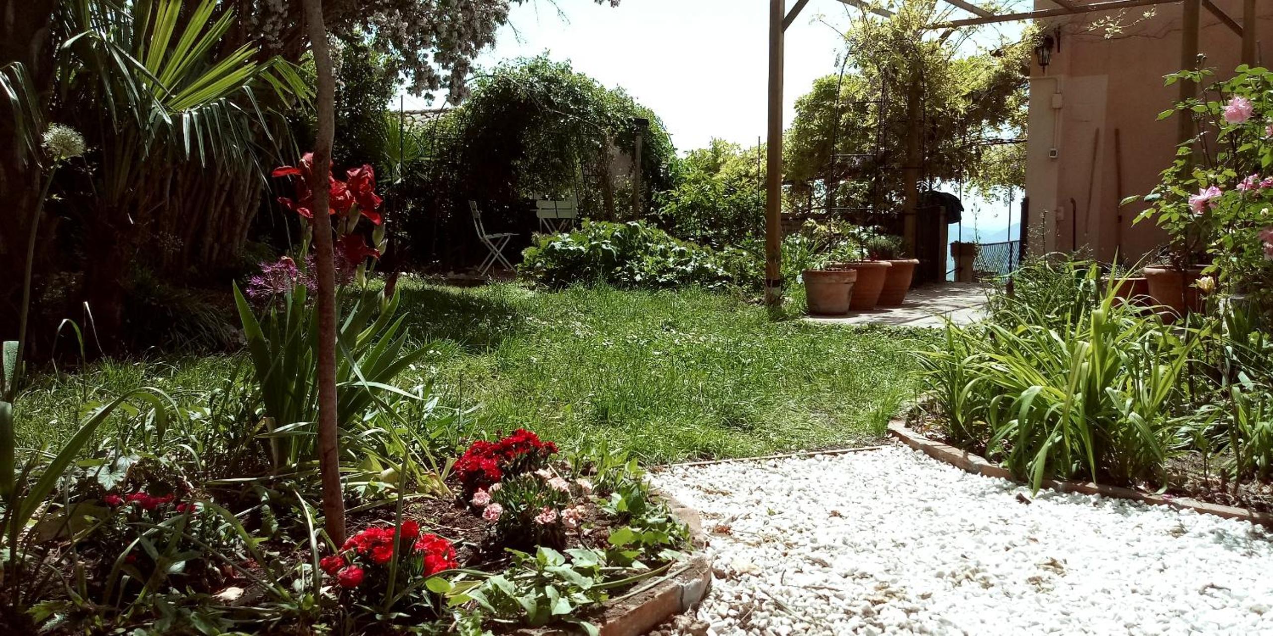 Photo 35
