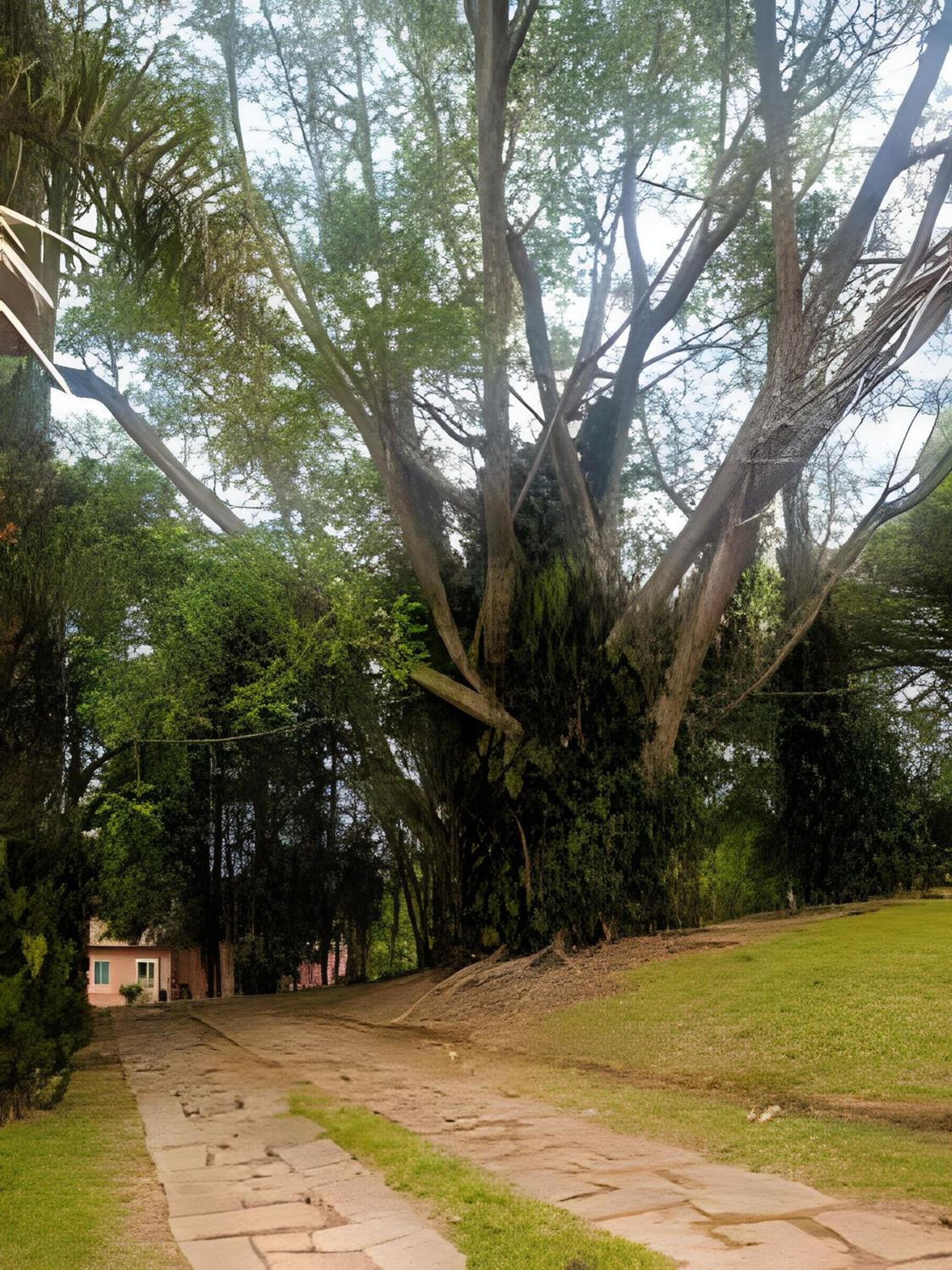 Sítio em São Roque, paraíso ao lado de São Paulo!