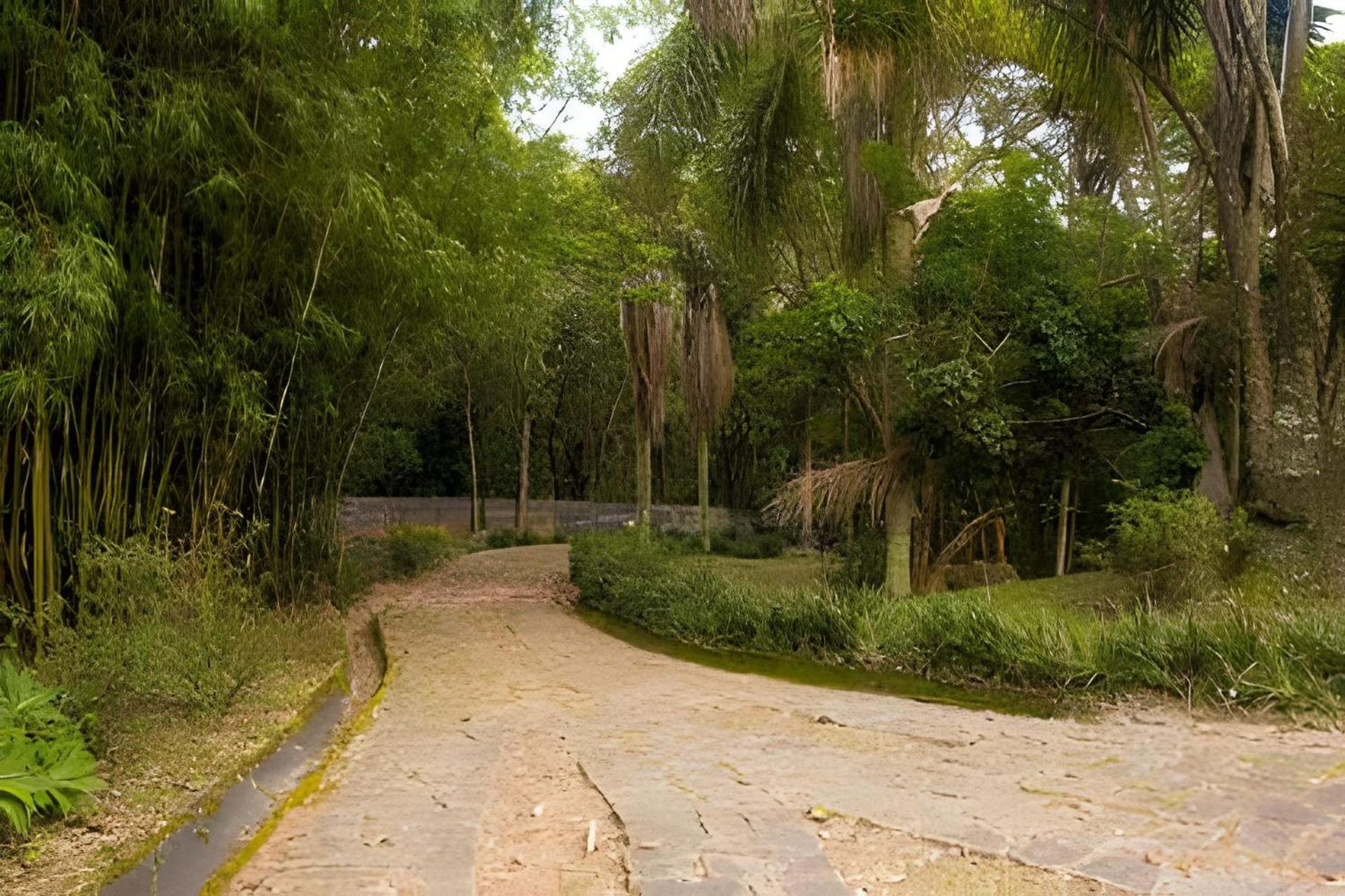 Sítio em São Roque, paraíso ao lado de São Paulo!