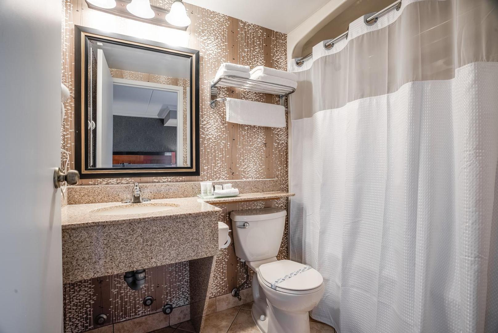Barrie Vacations - Monte Carlo Inn Barrie - Newly Renovated - Property Image 24