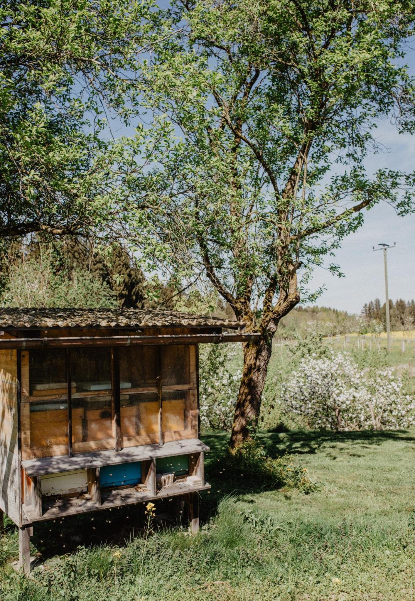 4 Sterne Ferienwohnung Hochries