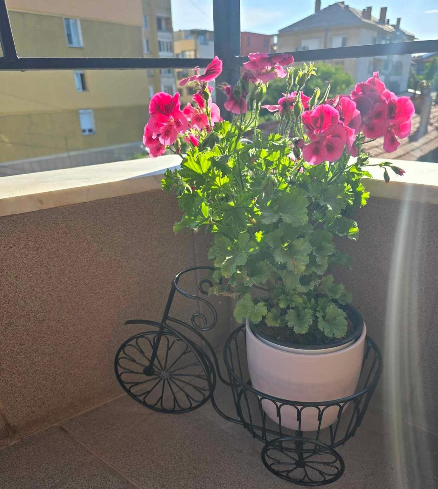 Luxury City Centre Appartment Iva