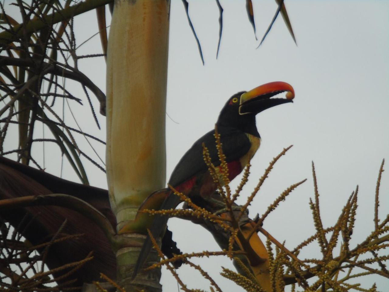 Complejo Turistico Fuga Ecolodge