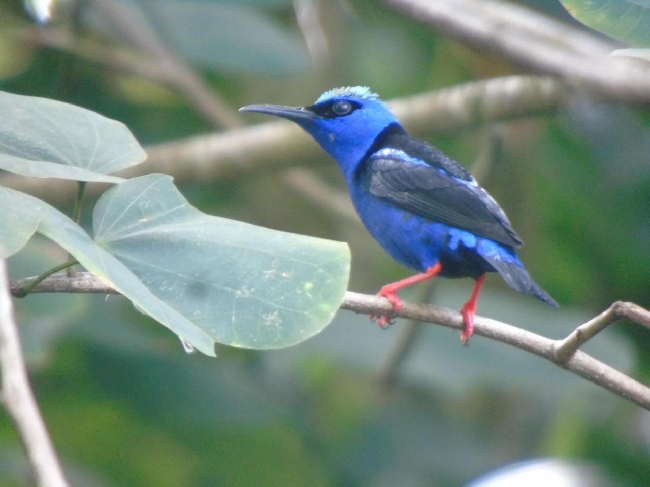 Complejo Turistico Fuga Ecolodge