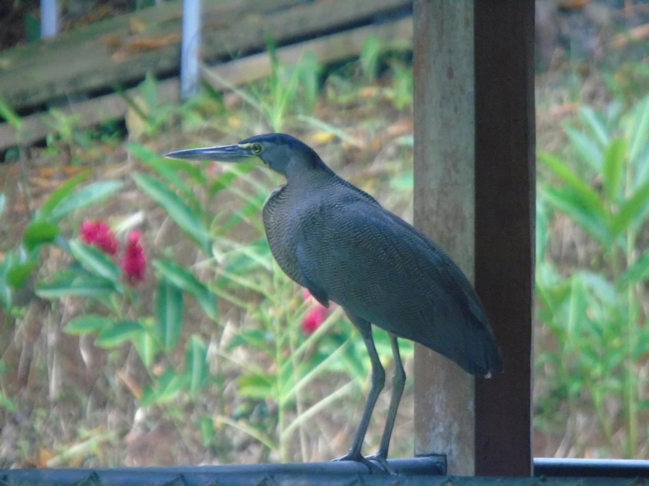 Complejo Turistico Fuga Ecolodge