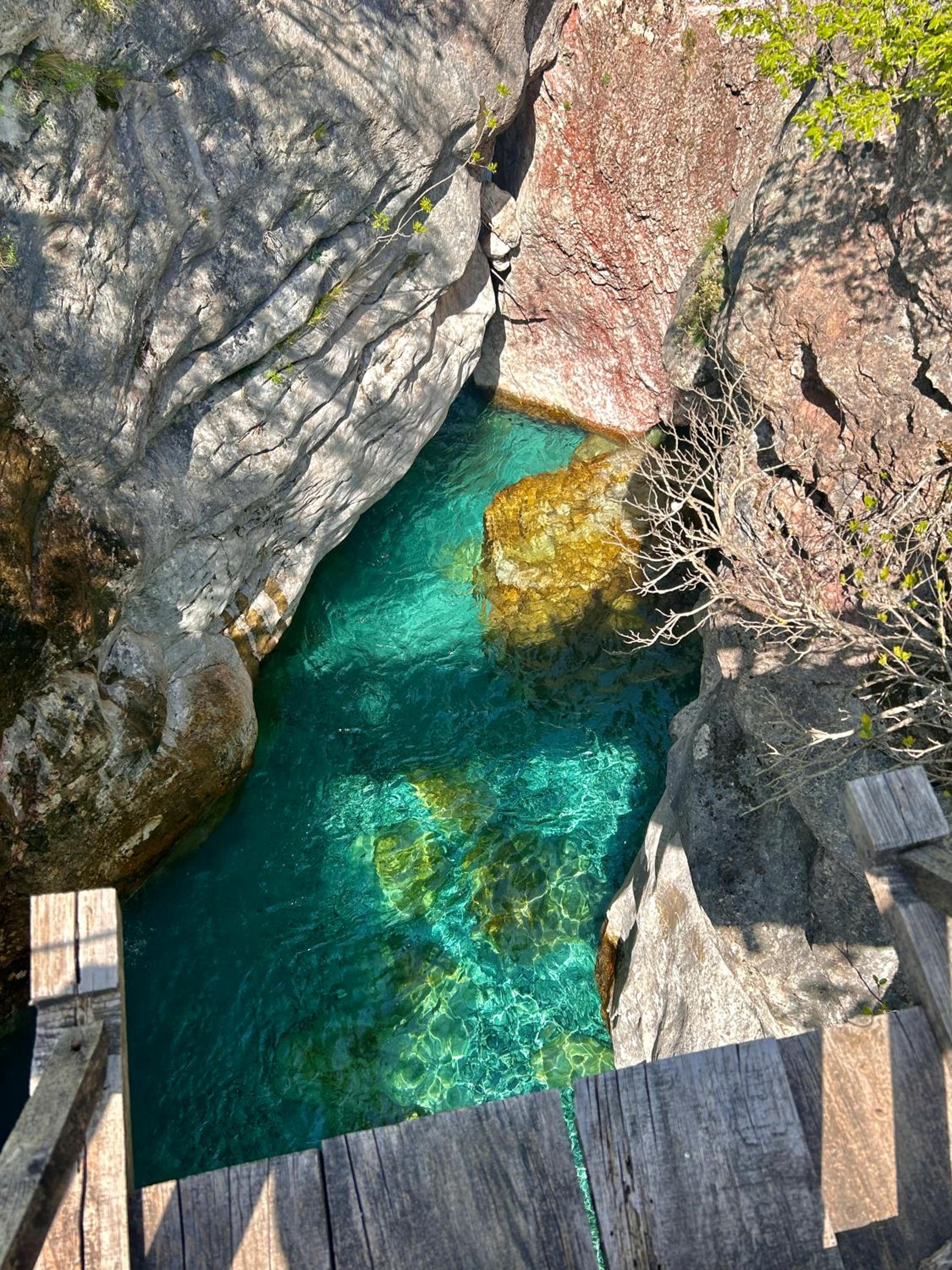 Shkodra Hostel & Day Tours