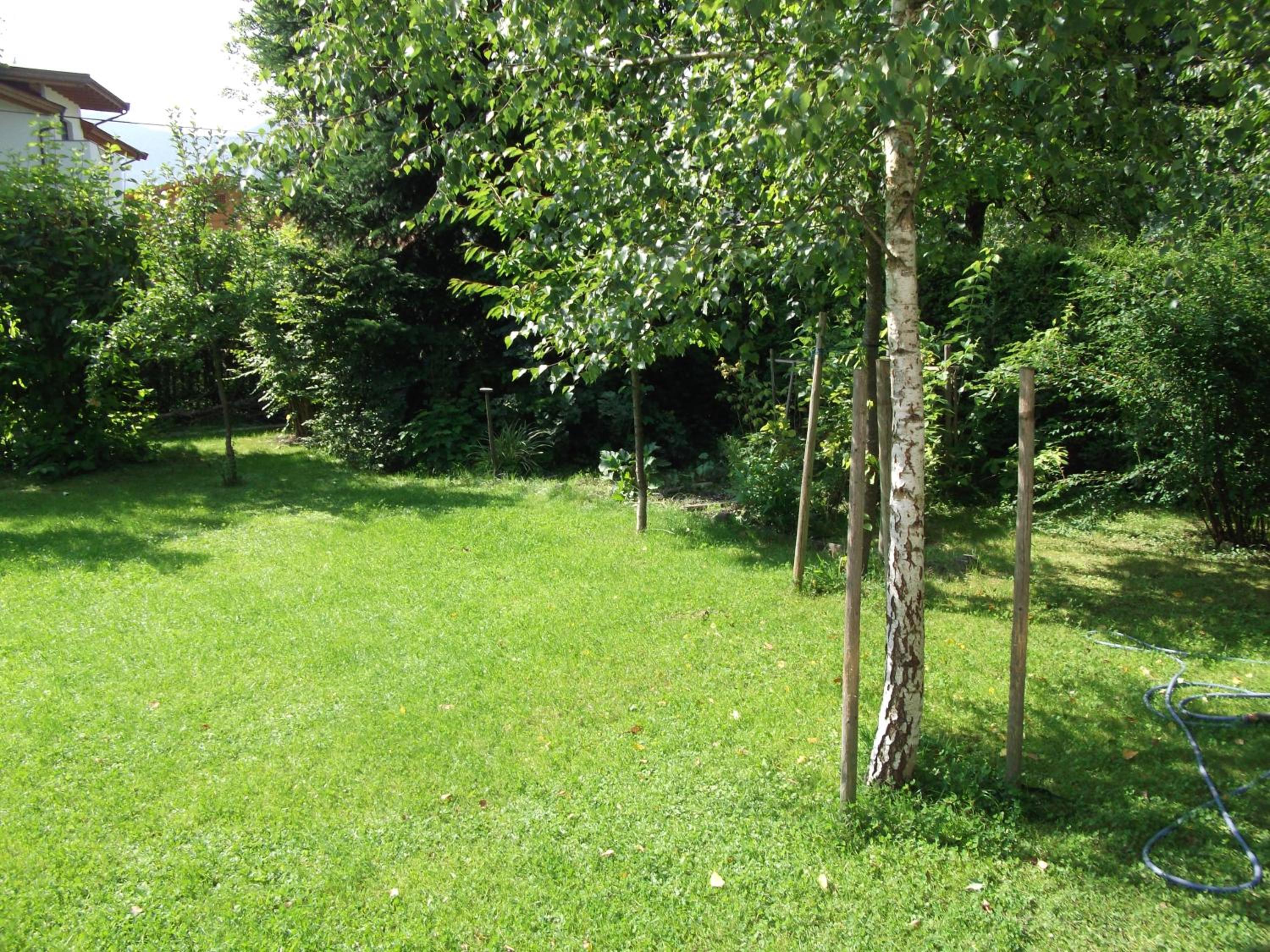 Sagzahnblick