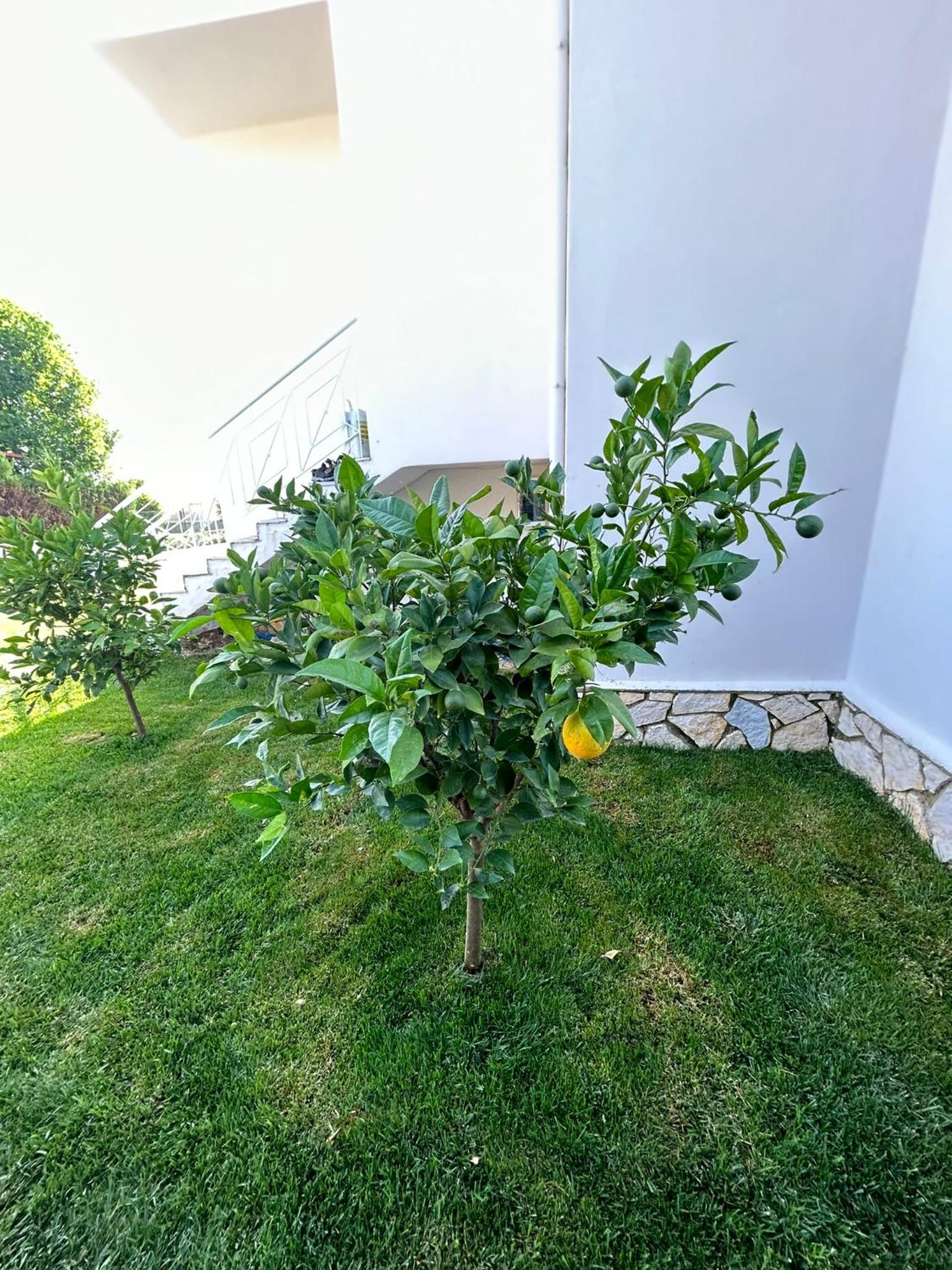 Villa Hana