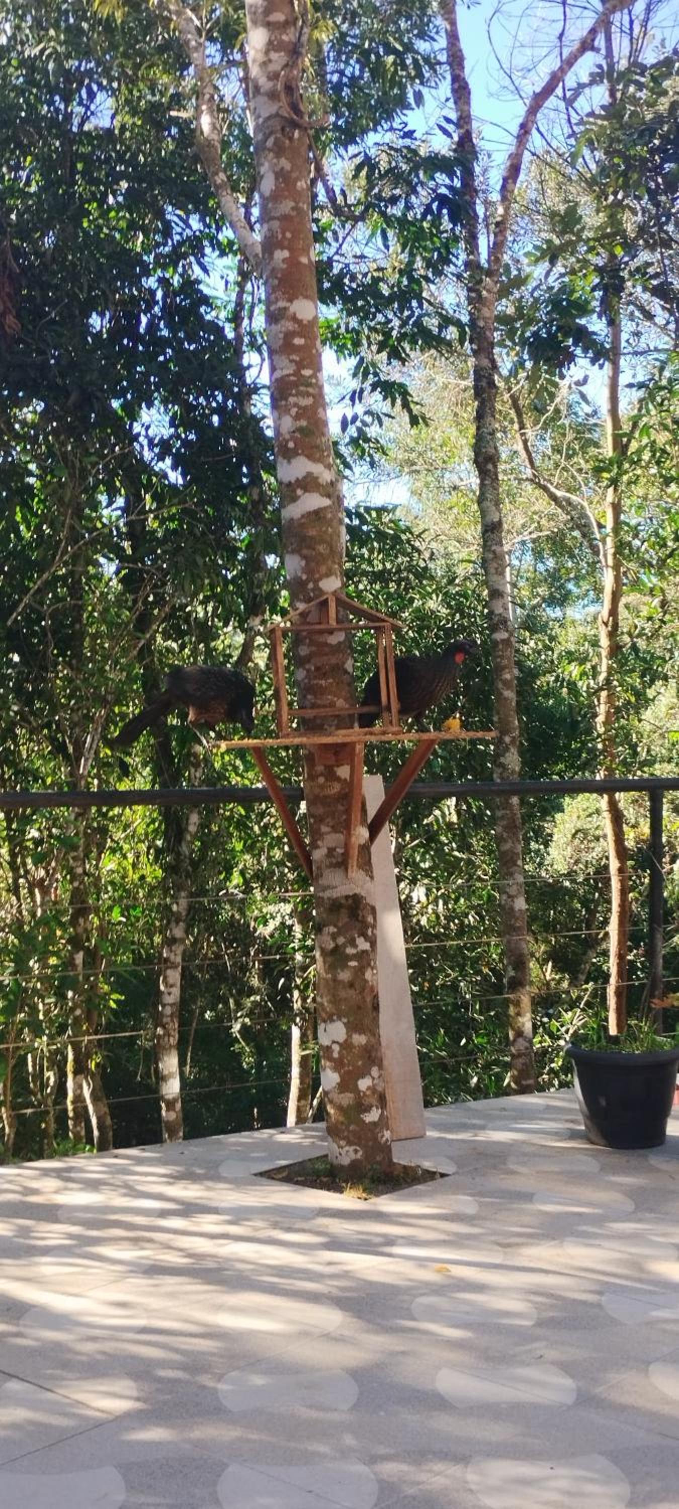 Suítes La Reserve