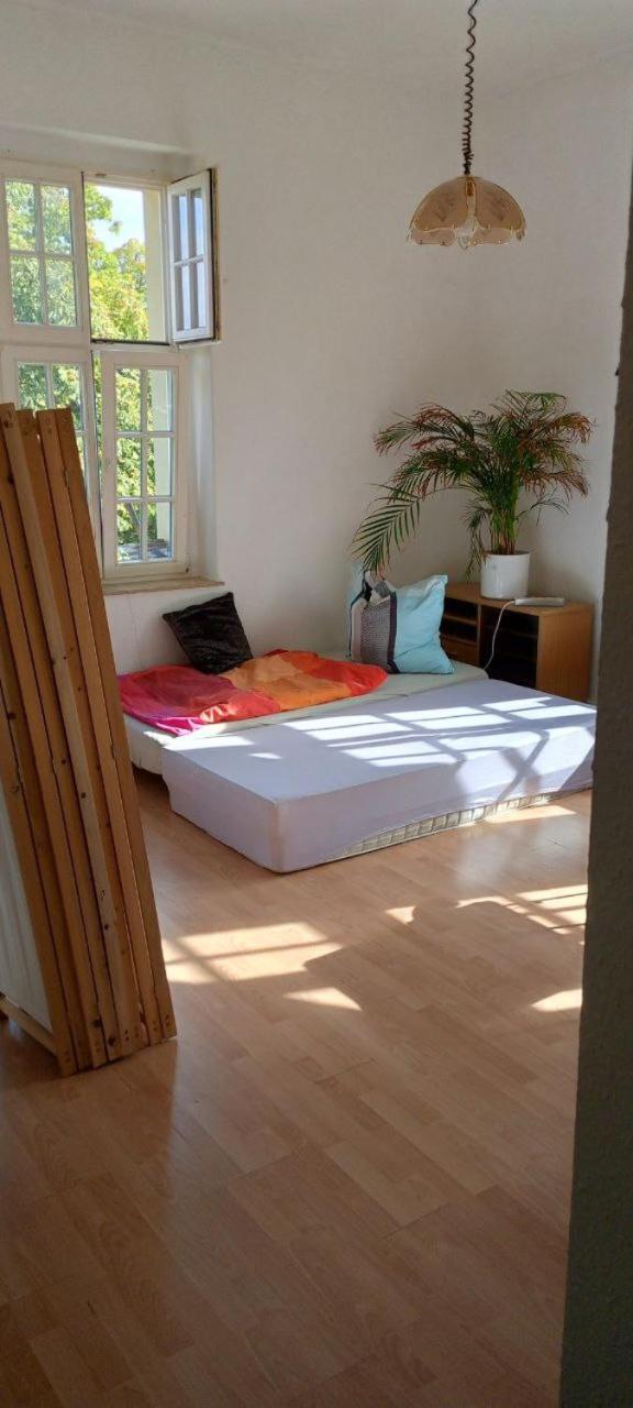 Forrest Apartments in Freiberg Min stay 2 nights Max Number of Guest 1 Aprt 1
