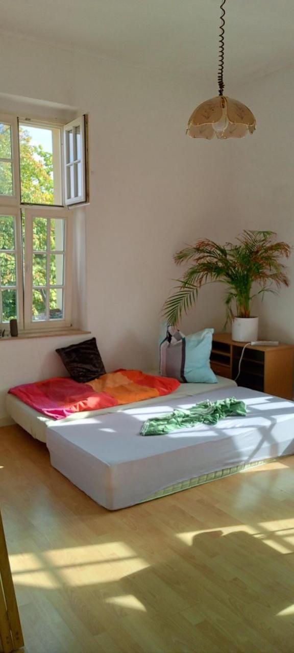 Forrest Apartments in Freiberg Min stay 2 nights Max Number of Guest 1 Aprt 1