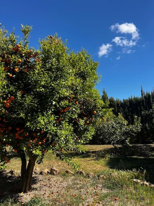 Villa en Llucmajor, Es Lluch