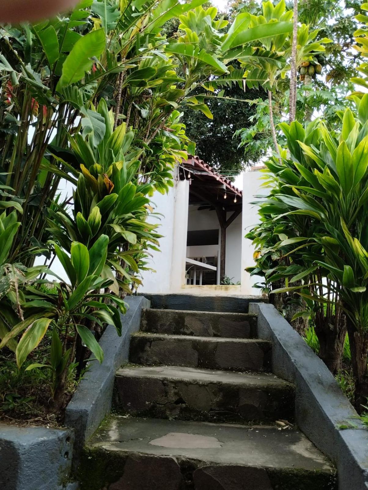 Casa Escalante Hostel